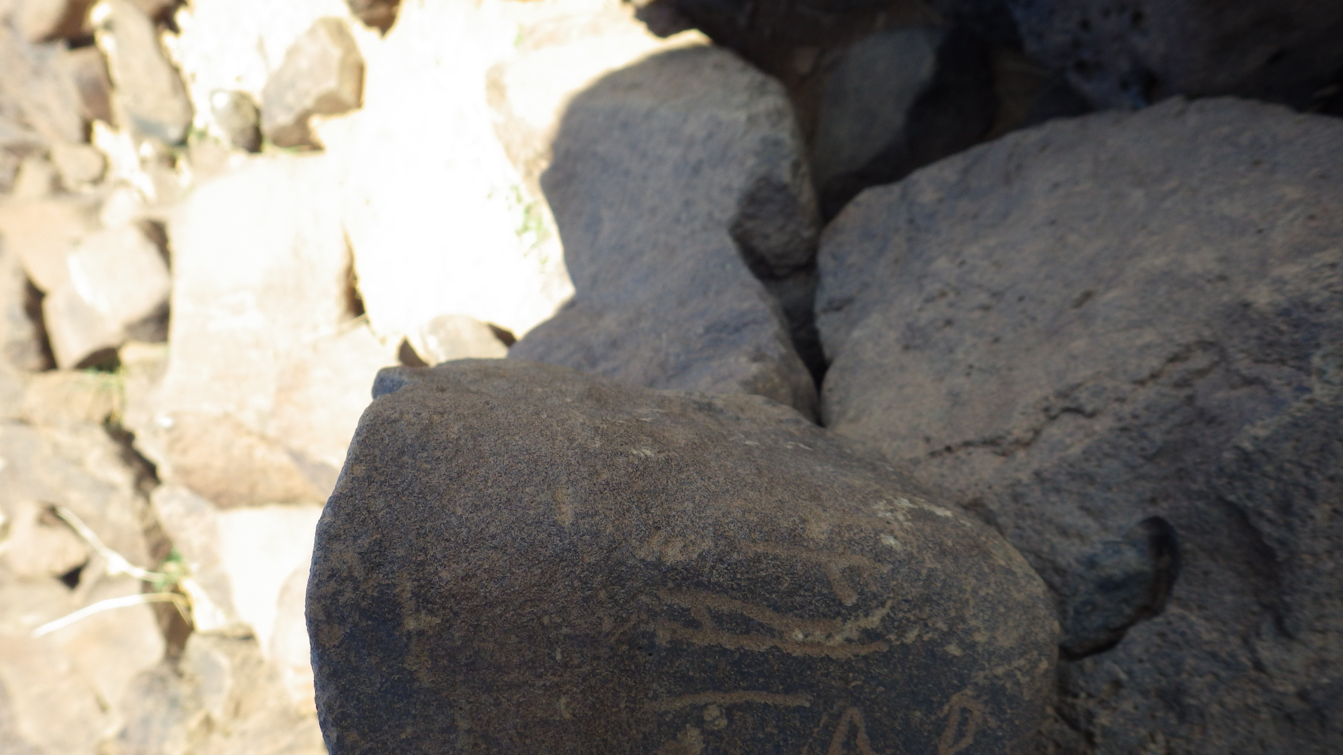 Image of siglum BES20 421