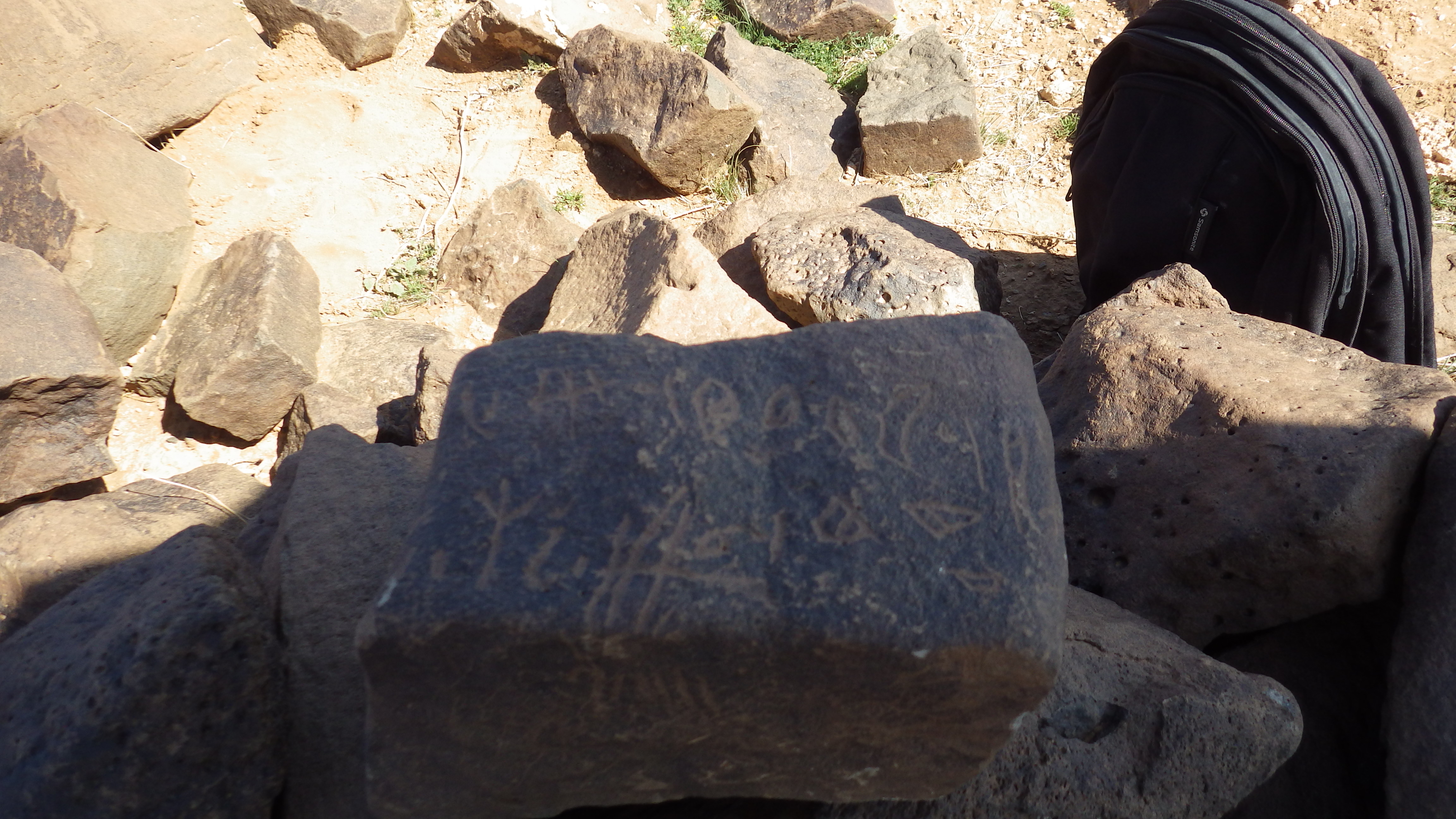 Image of siglum BES20 421