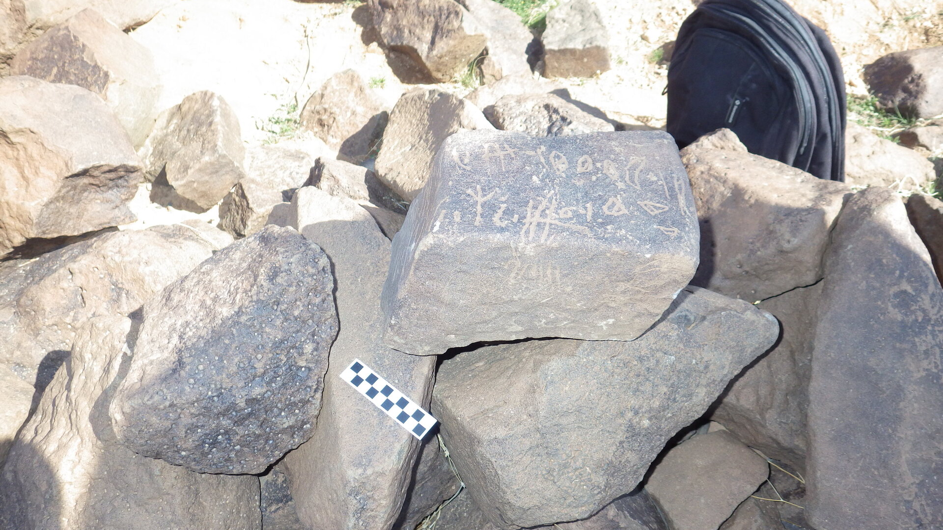 Image of siglum BES20 421