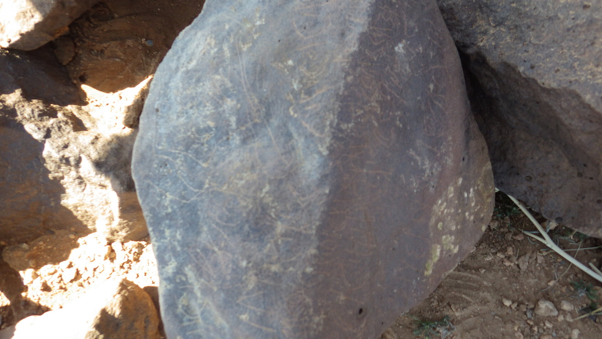 Image of siglum BES20 424