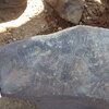 Image of siglum BES20 425