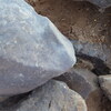 Image of siglum BES20 425