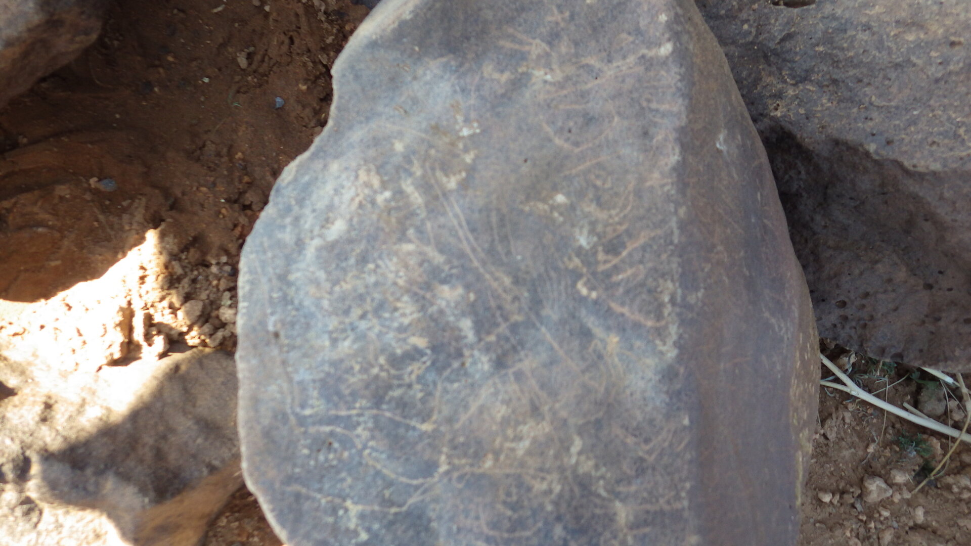 Image of siglum BES20 427