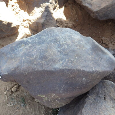 Image of siglum BES20 428