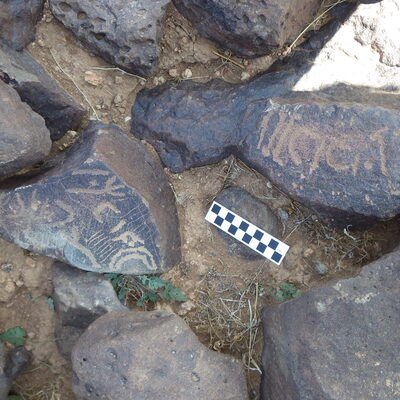 Image of siglum BES20 429