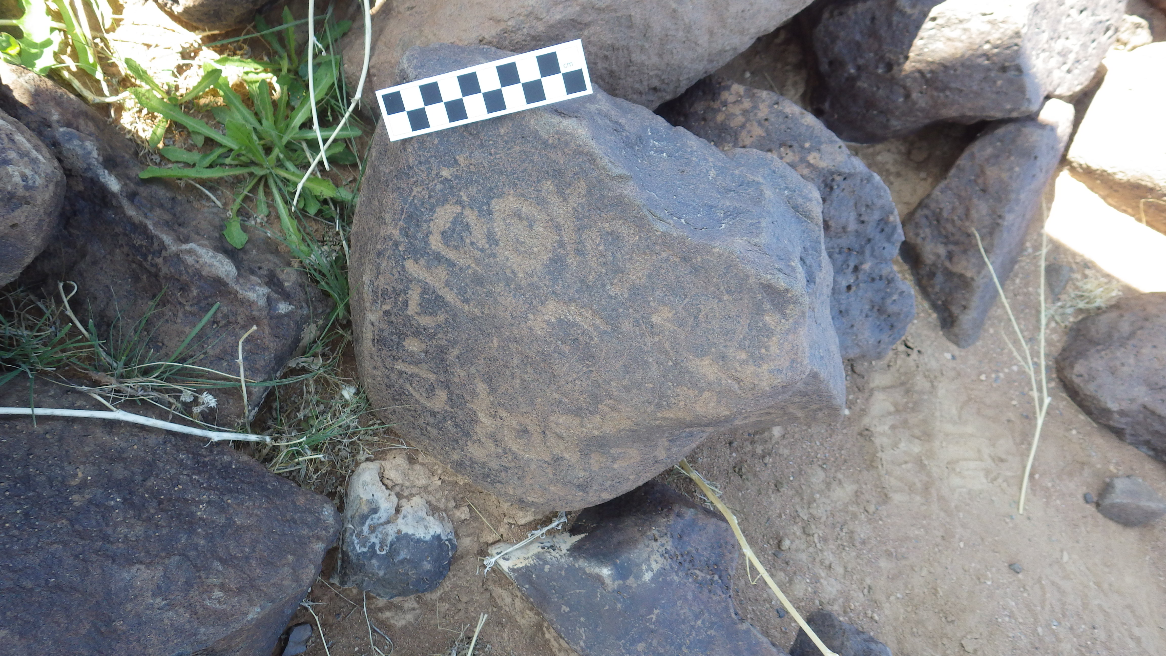 Image of siglum BES20 433