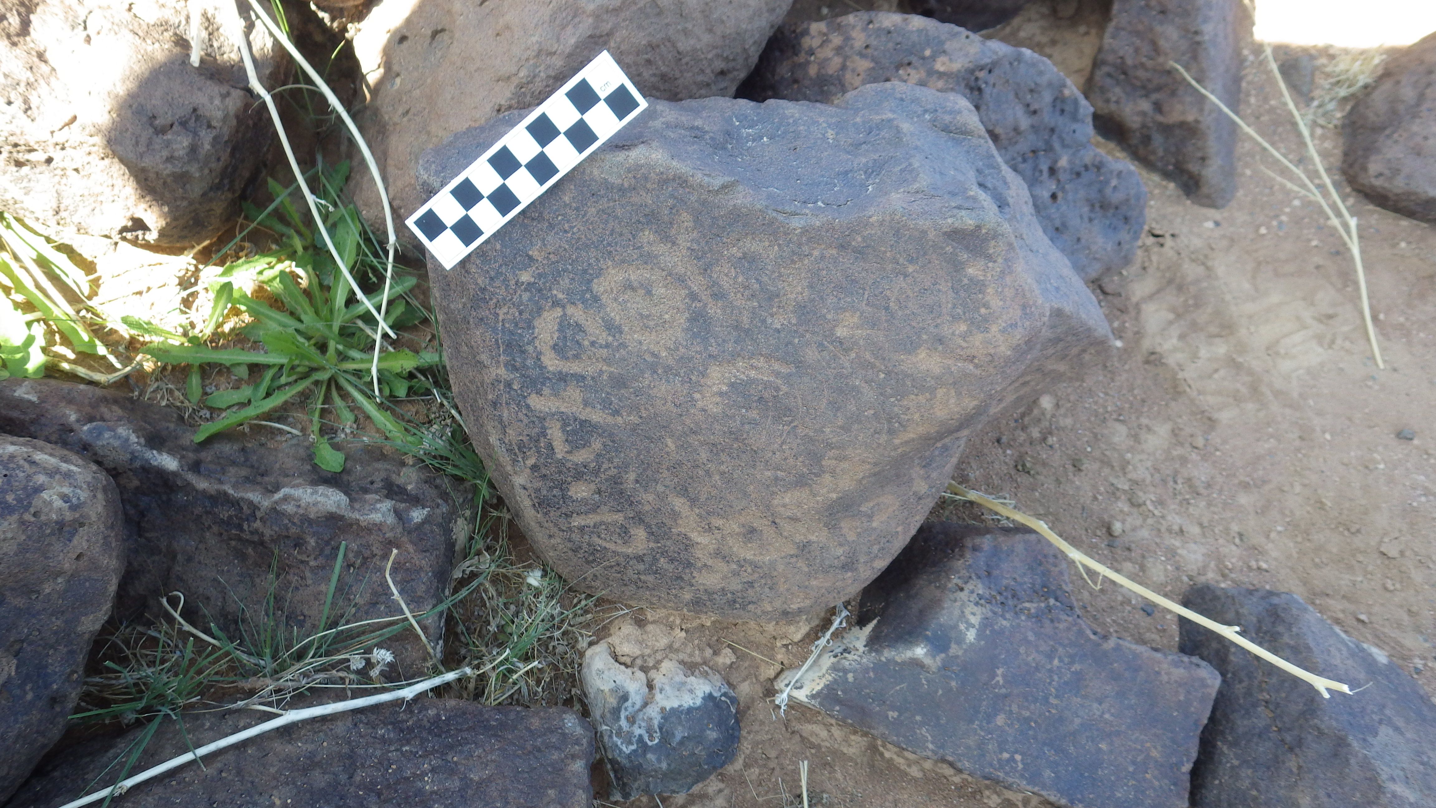 Image of siglum BES20 433