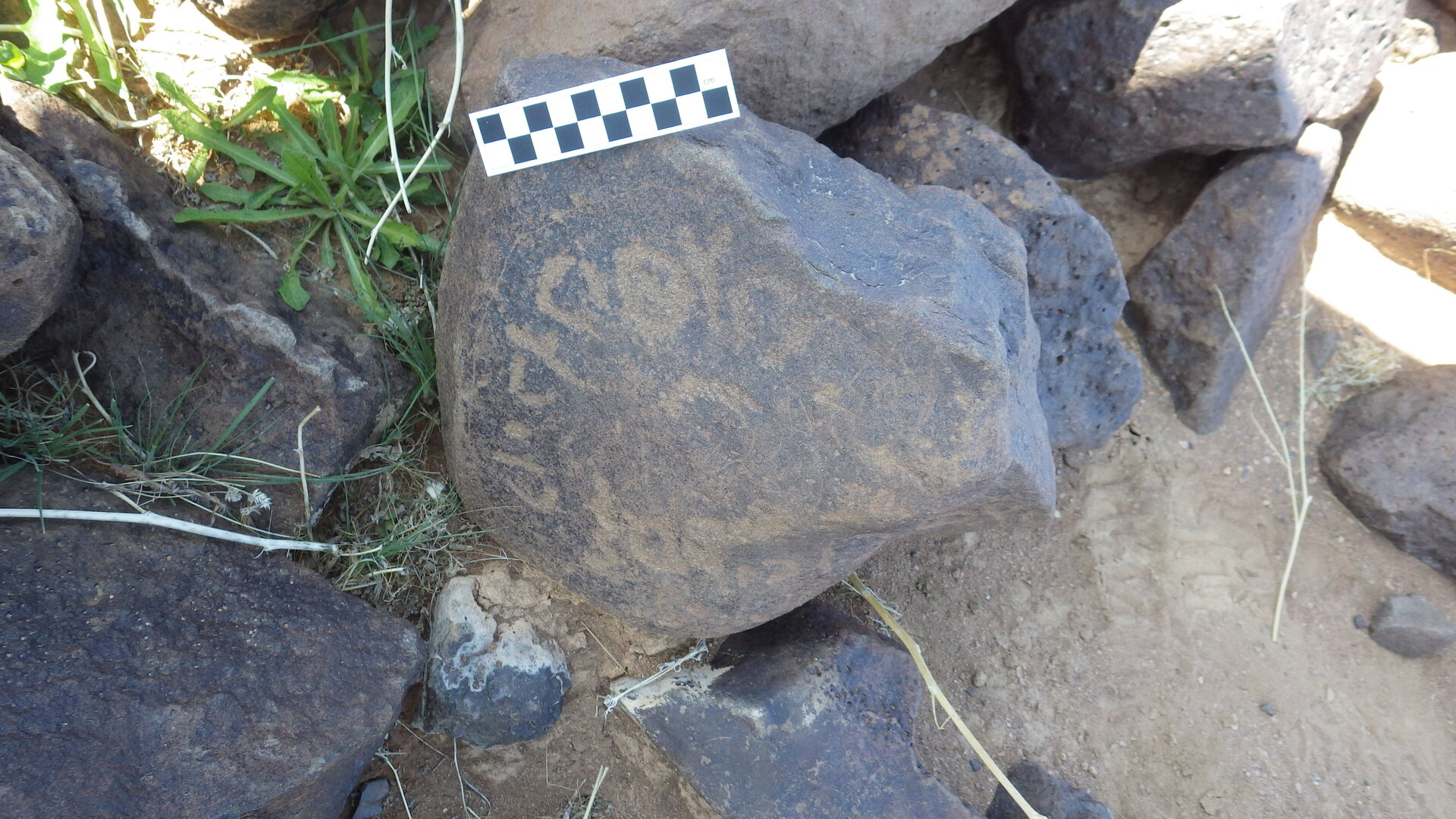 Image of siglum BES20 433