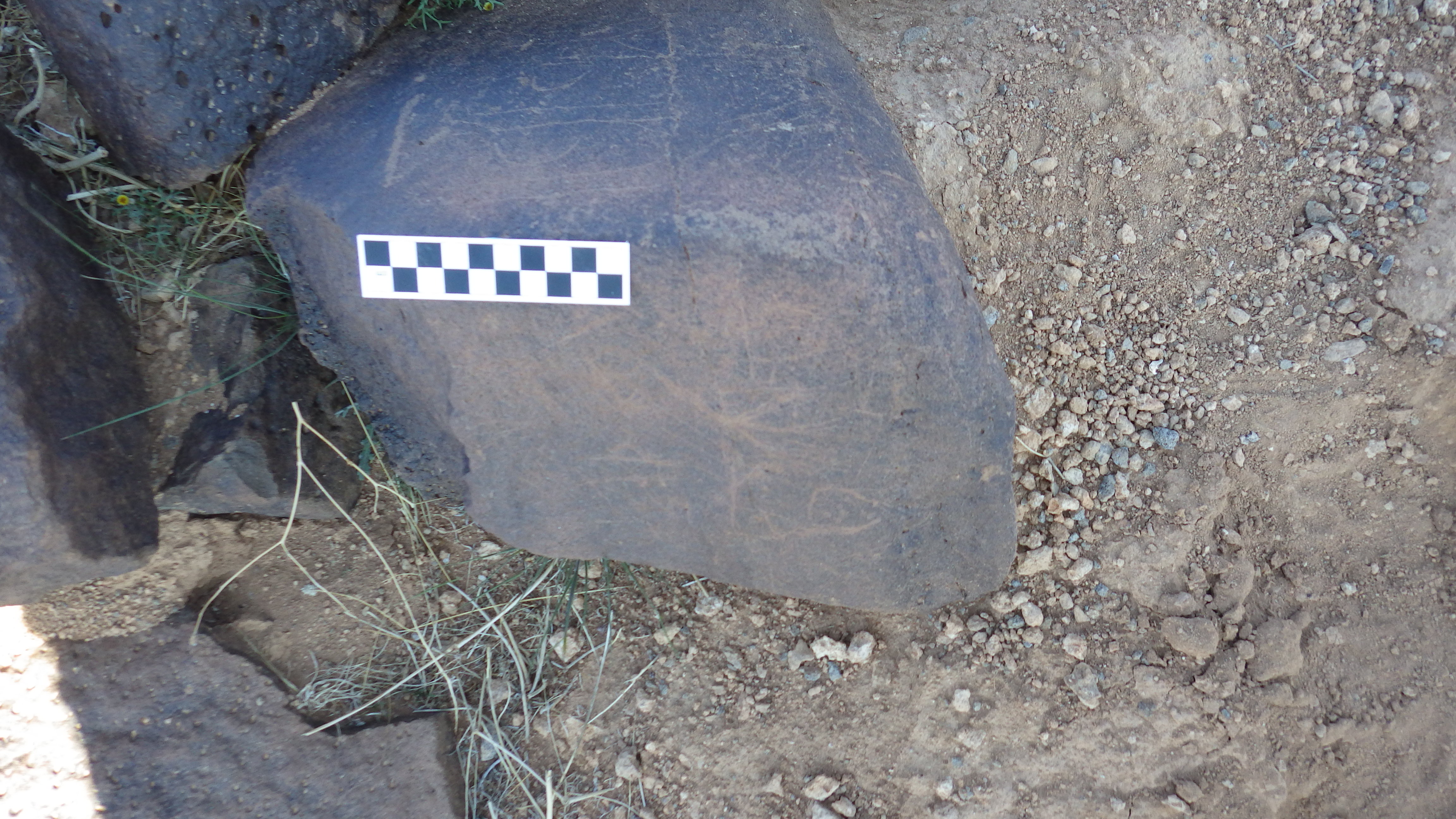 Image of siglum BES20 438