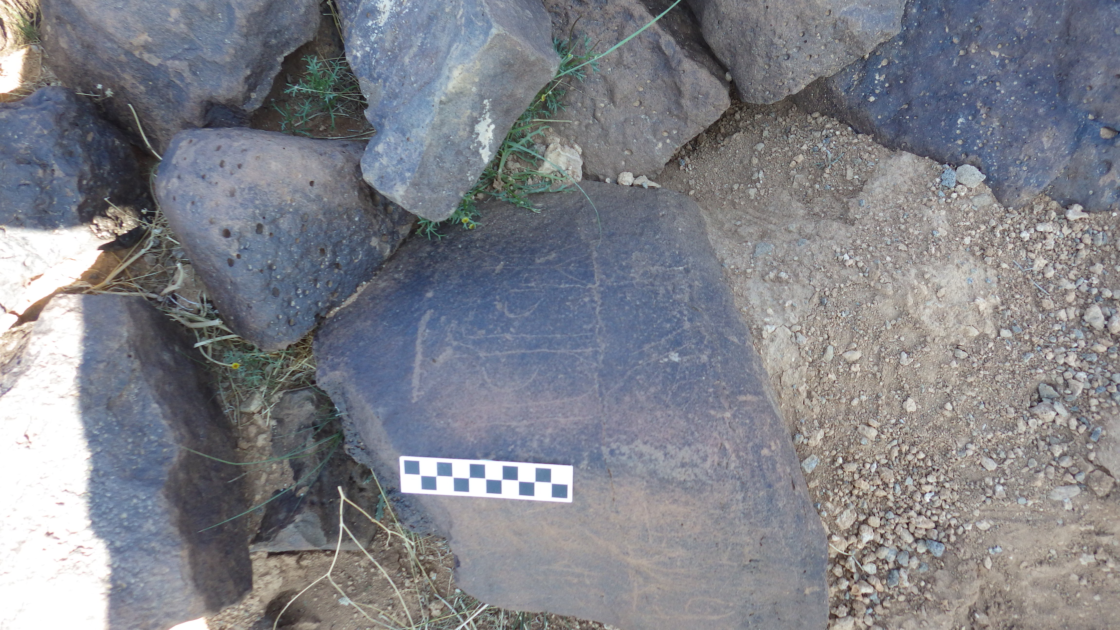 Image of siglum BES20 438