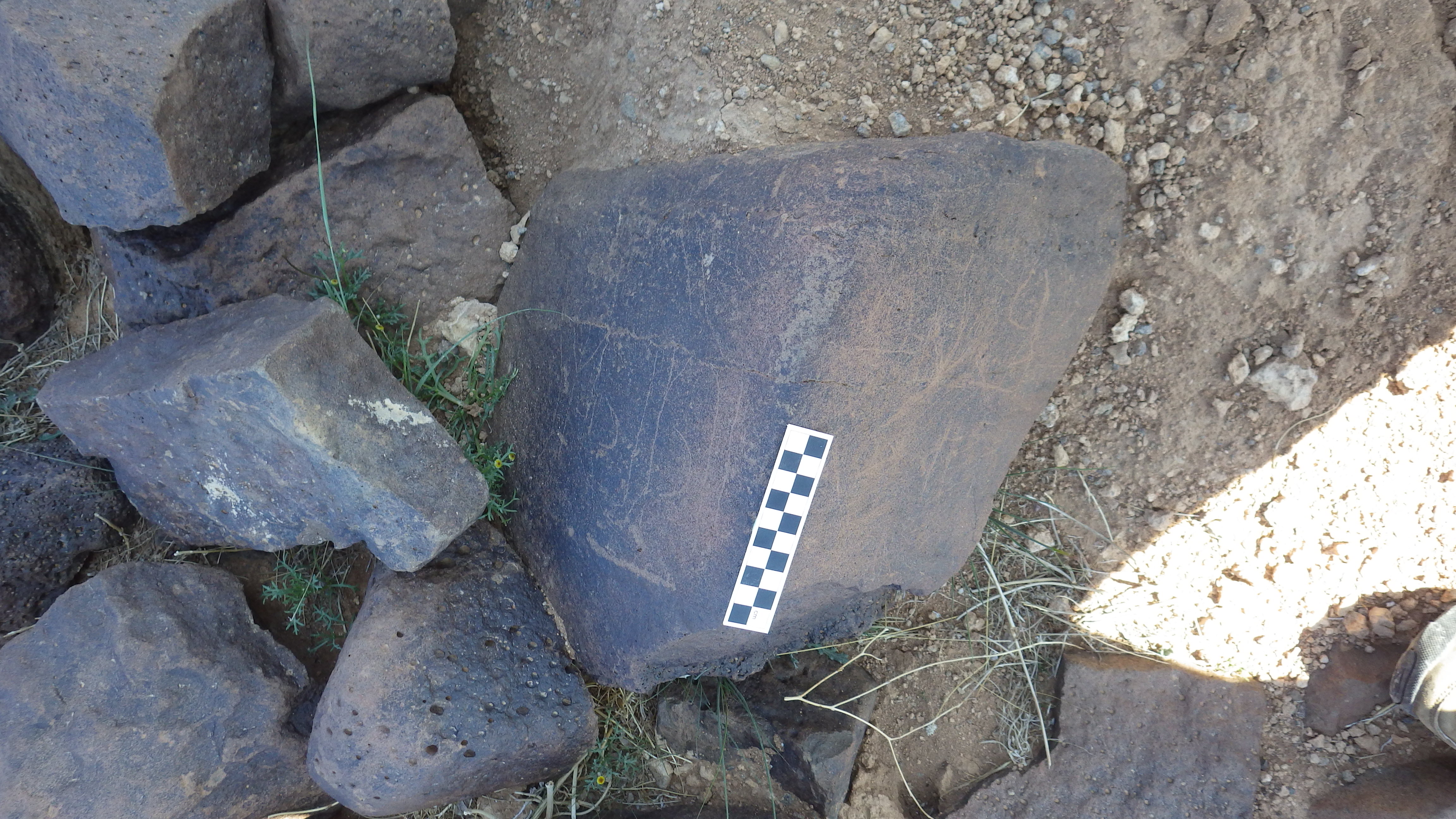 Image of siglum BES20 438