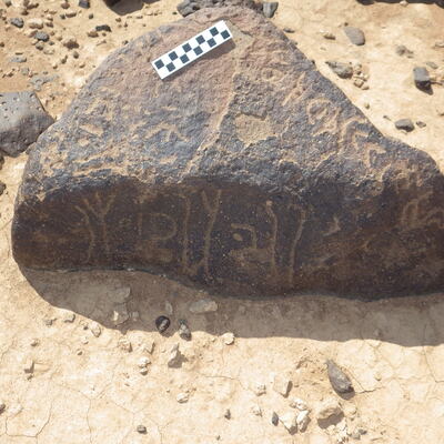 Image of siglum BES20 443