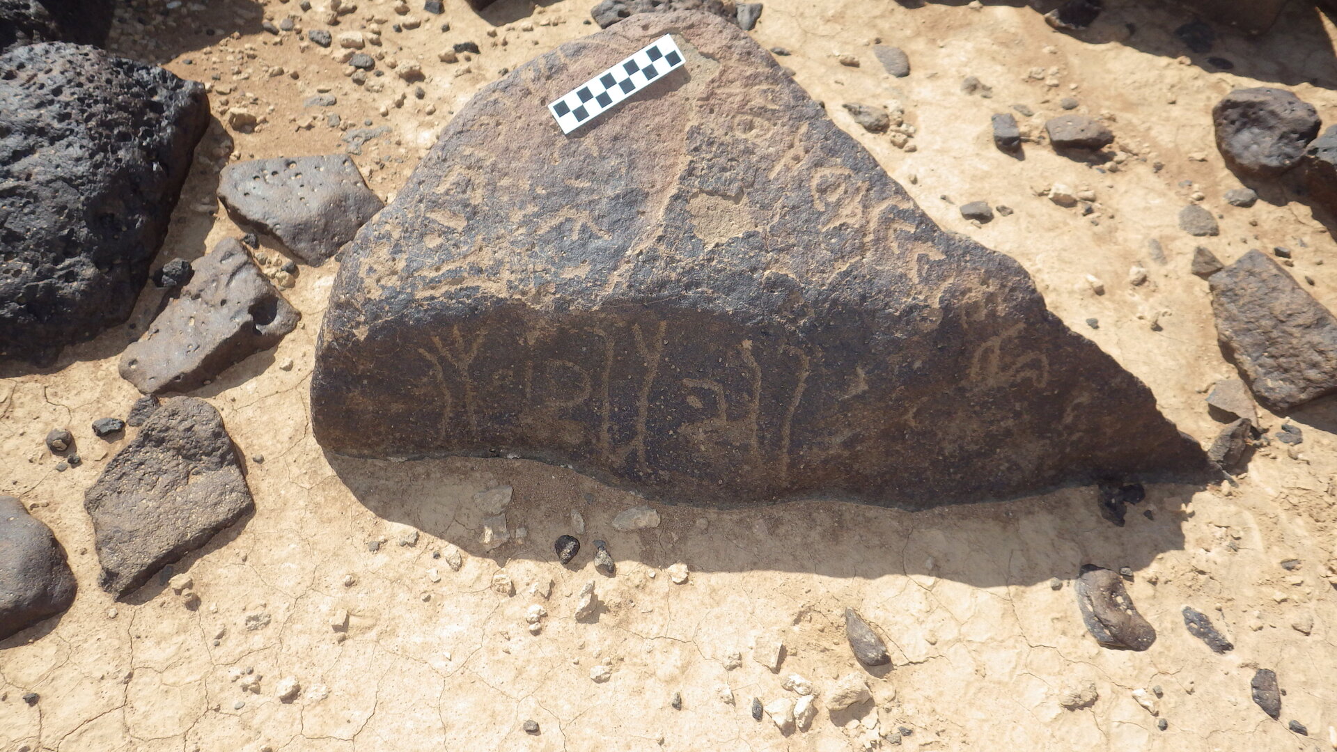 Image of siglum BES20 443