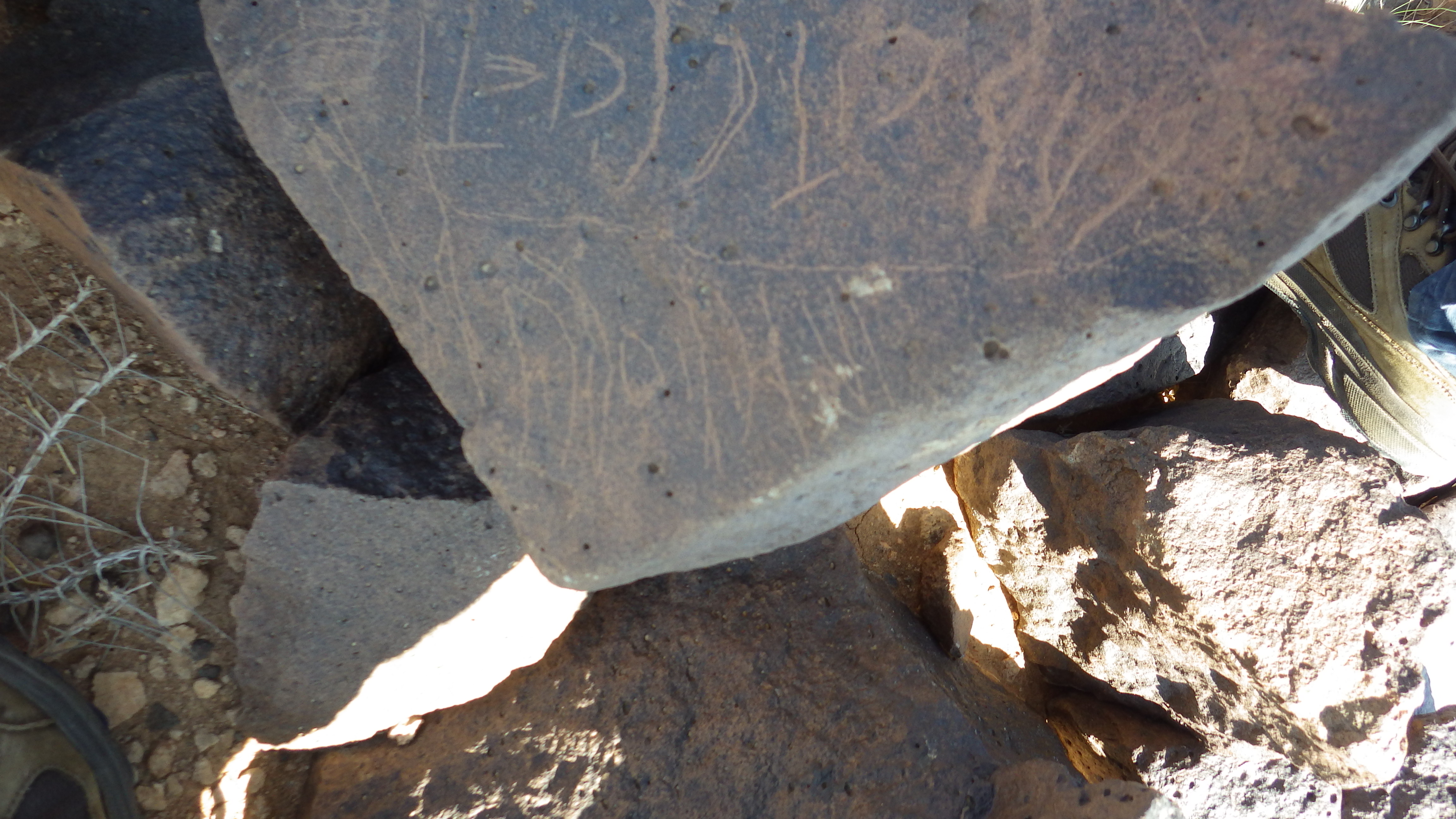 Image of siglum BES20 445