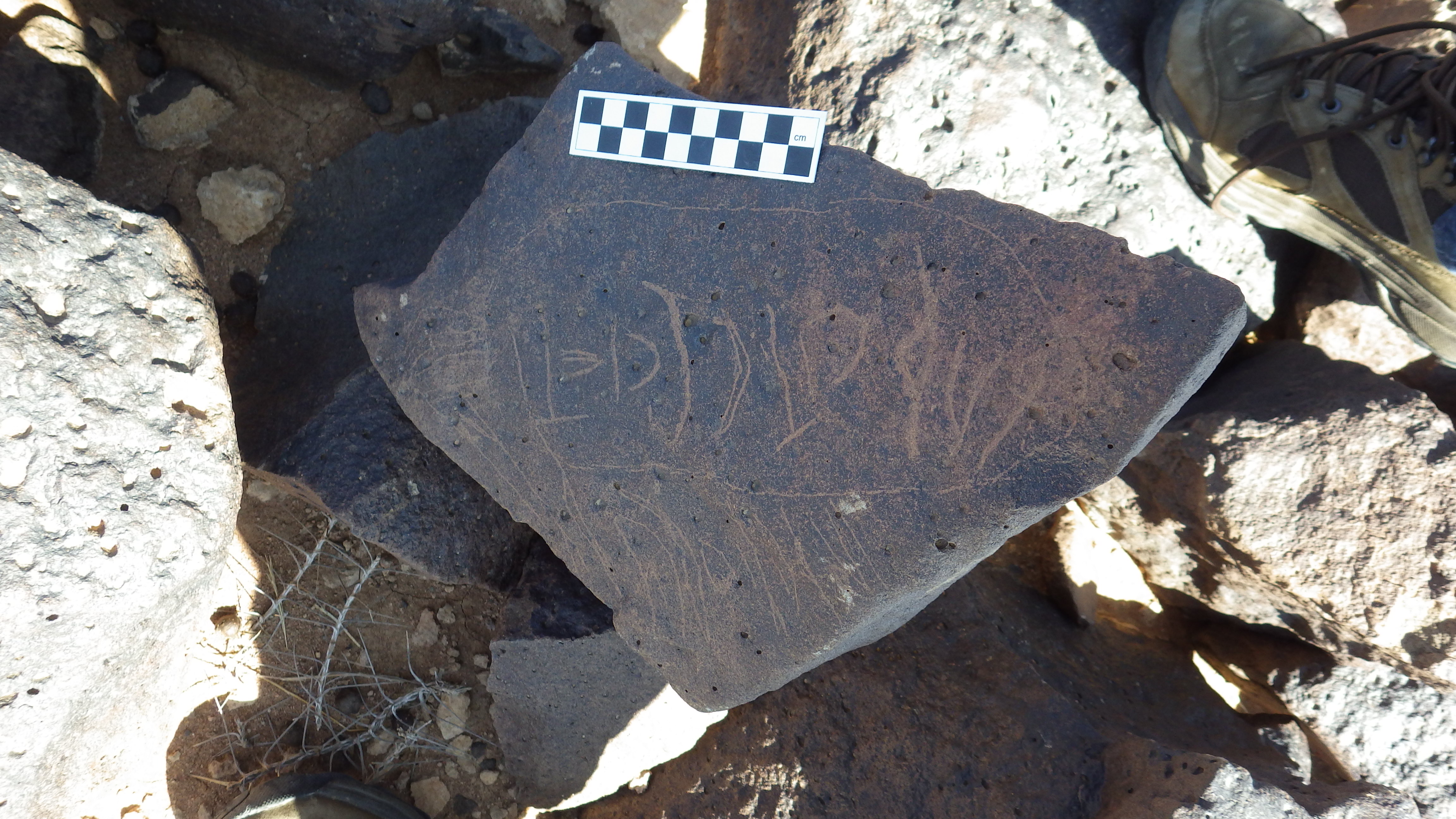 Image of siglum BES20 445