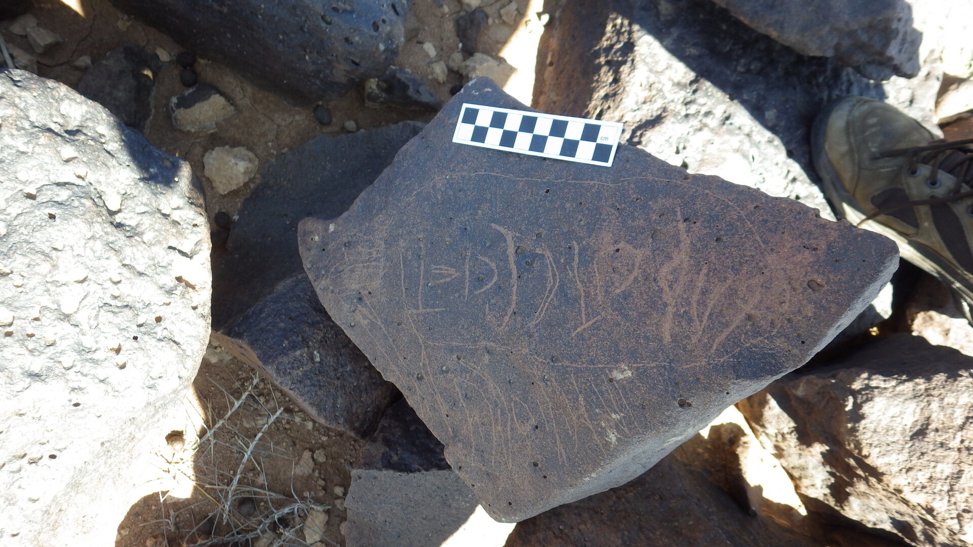 Image of siglum BES20 445