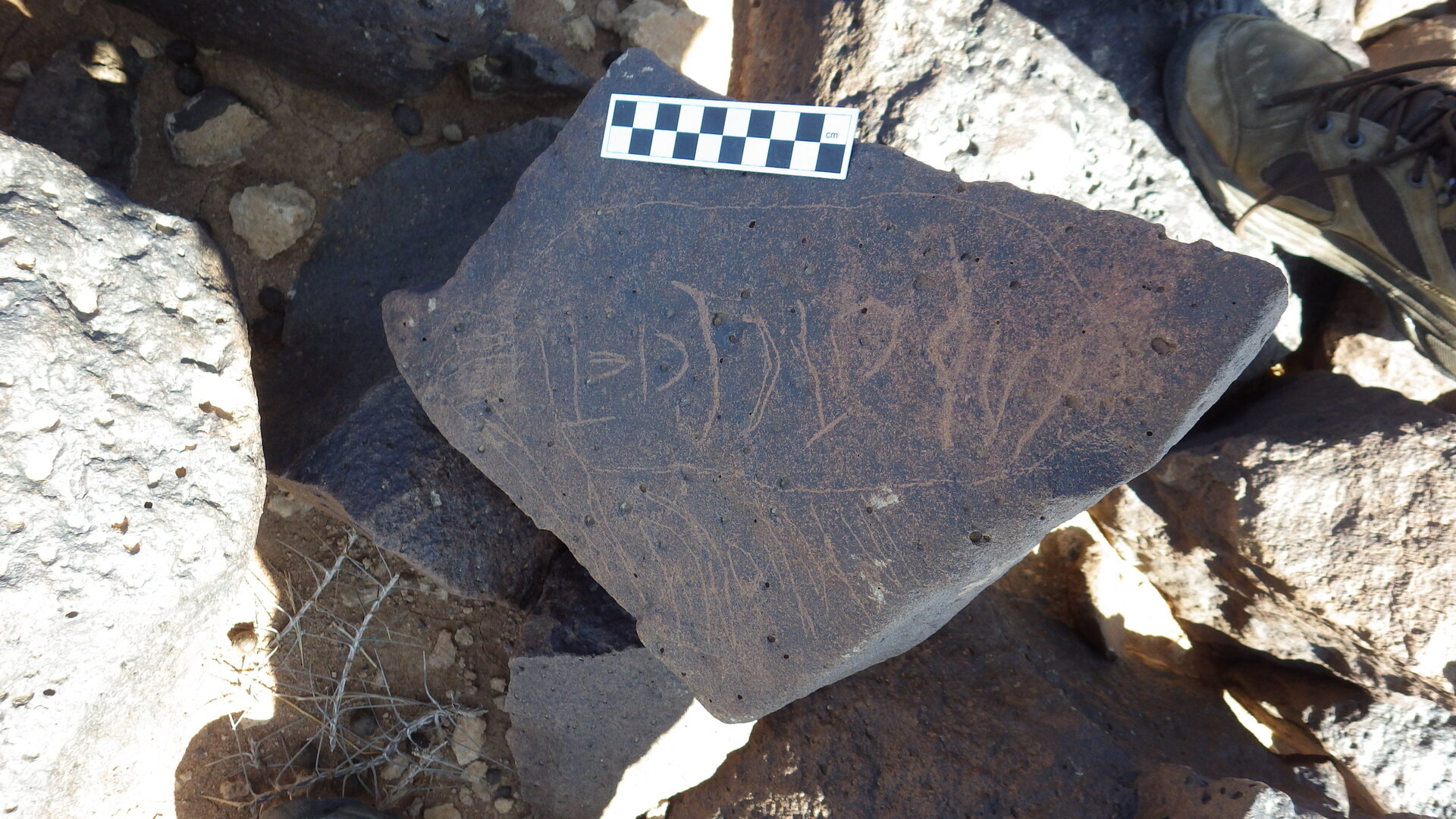 Image of siglum BES20 445
