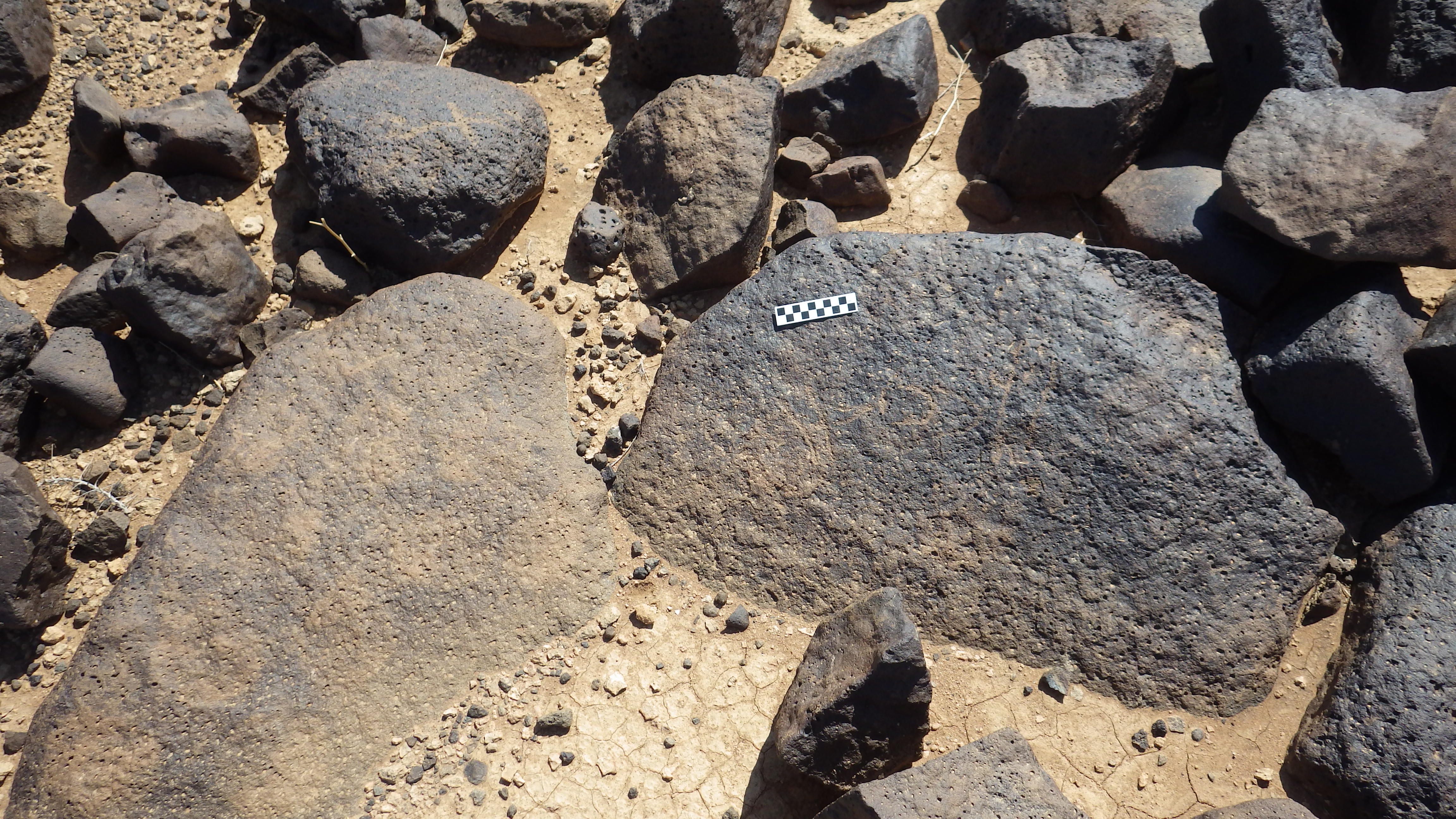 Image of siglum BES20 446