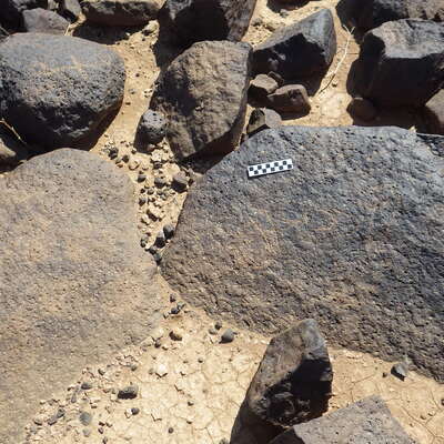 Image of siglum BES20 446