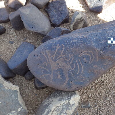 Image of siglum BES20 447