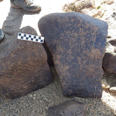 Image of siglum BES20 453