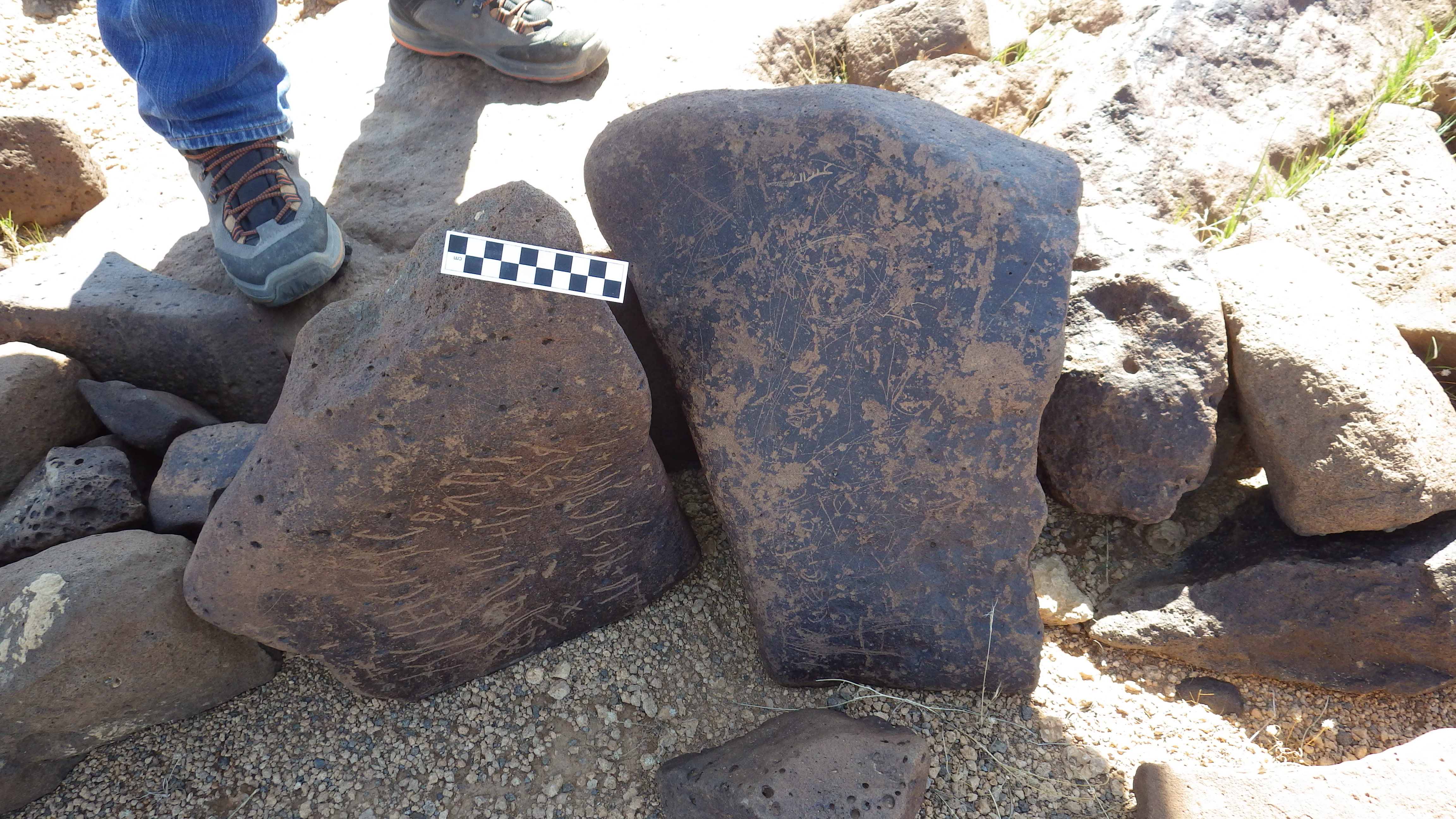 Image of siglum BES20 454