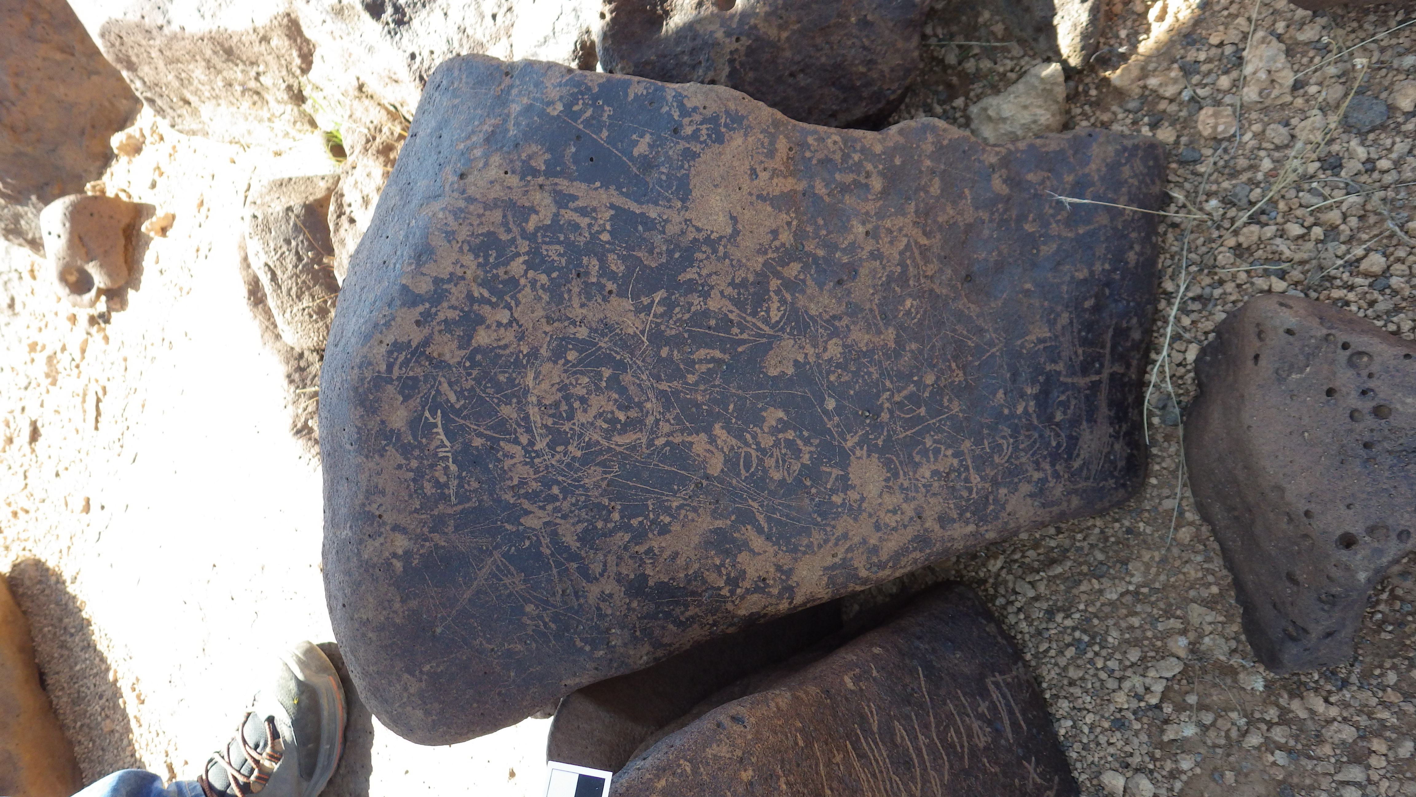 Image of siglum BES20 454