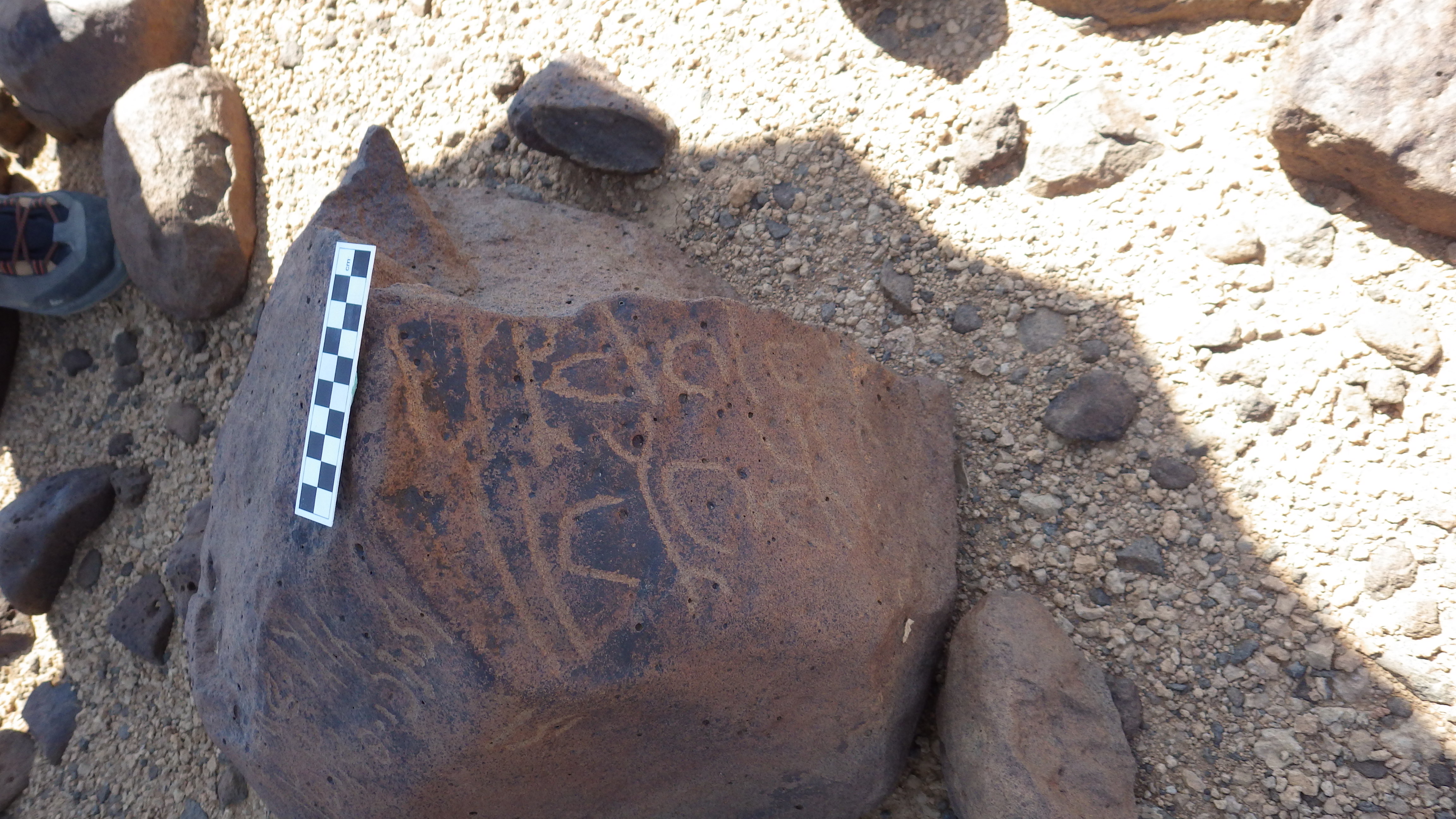 Image of siglum BES20 456