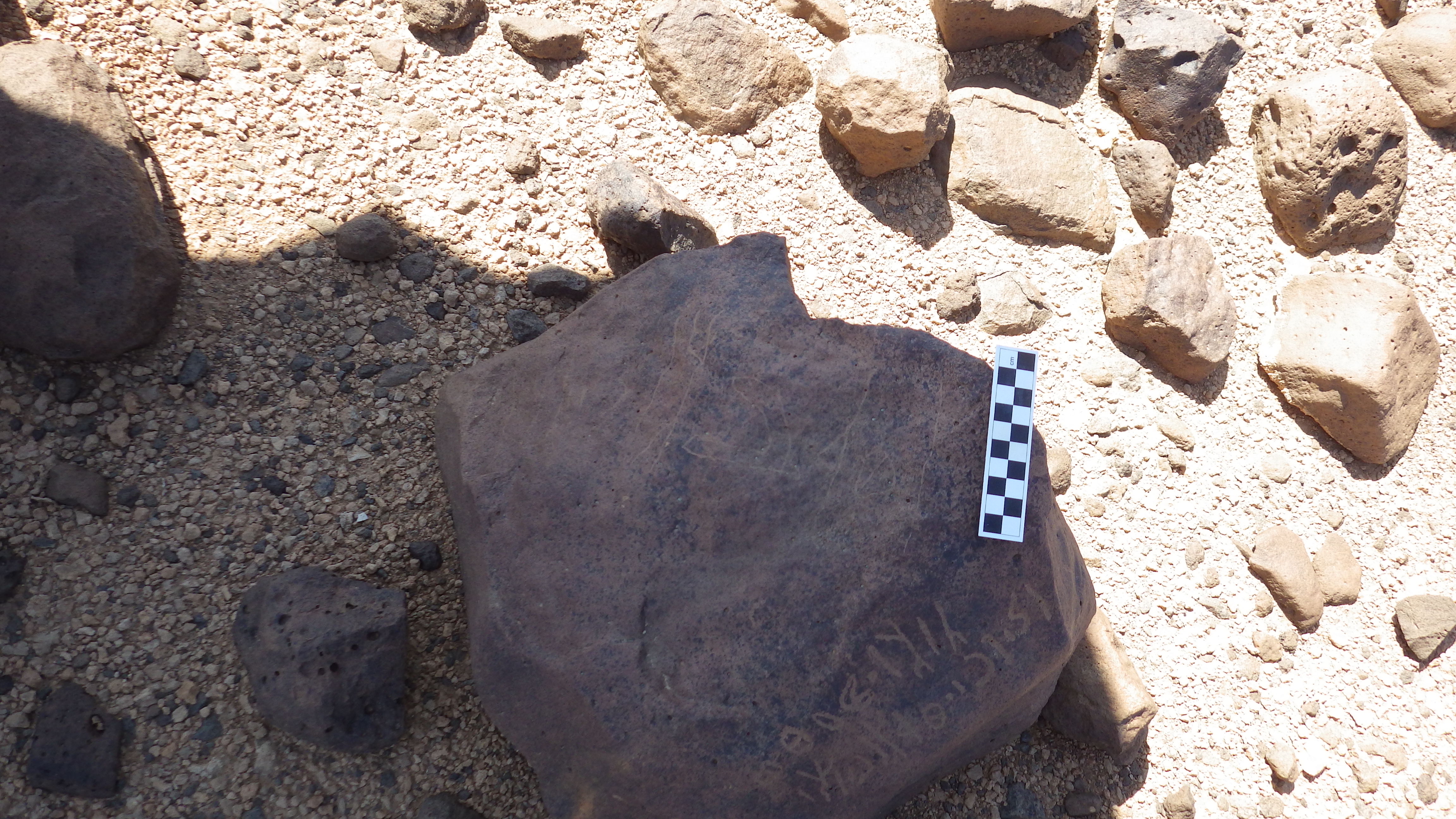 Image of siglum BES20 458