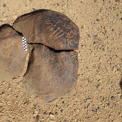 Image of siglum BES20 459