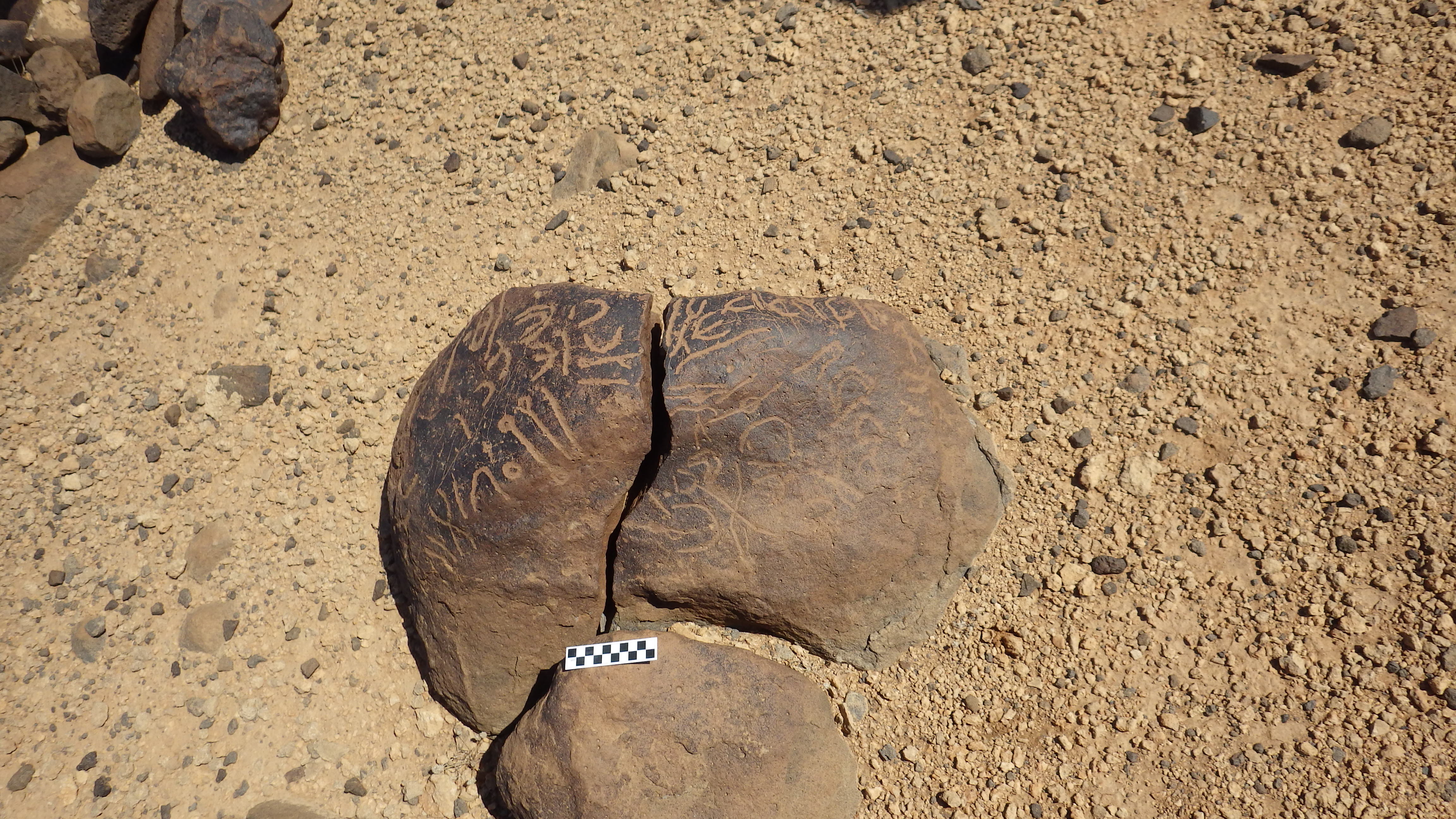 Image of siglum BES20 462