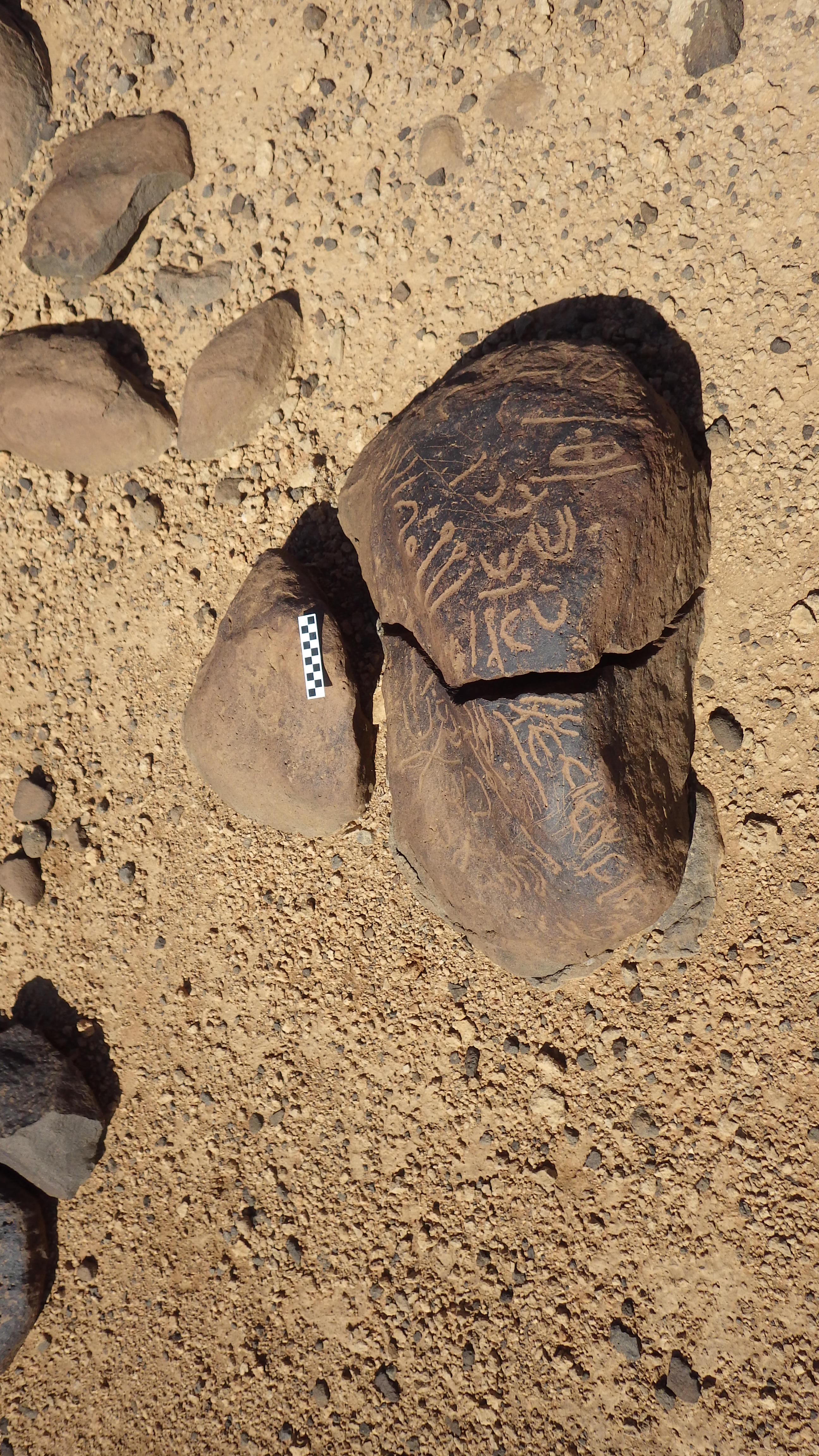 Image of siglum BES20 462