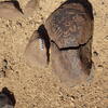 Image of siglum BES20 462