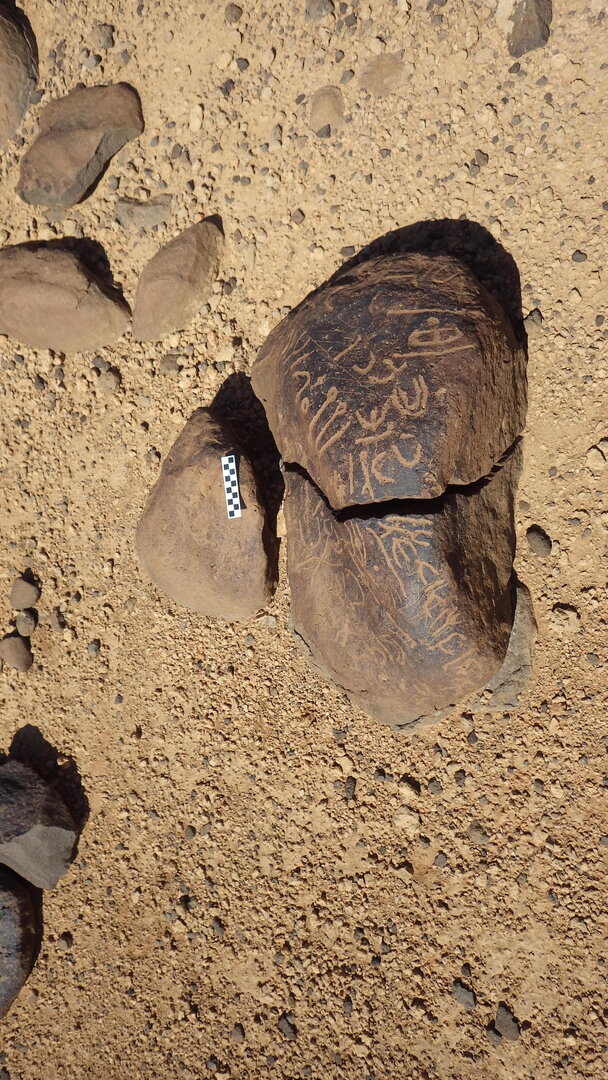 Image of siglum BES20 463
