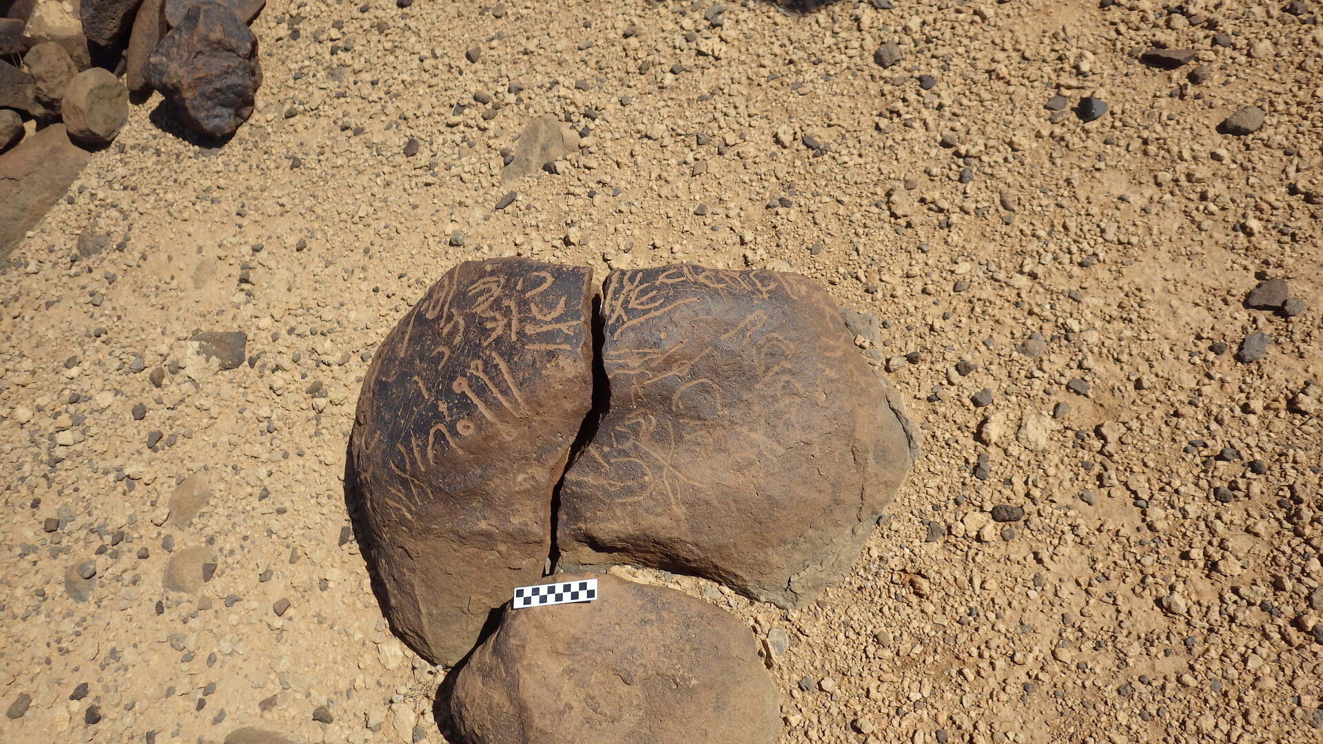 Image of siglum BES20 464