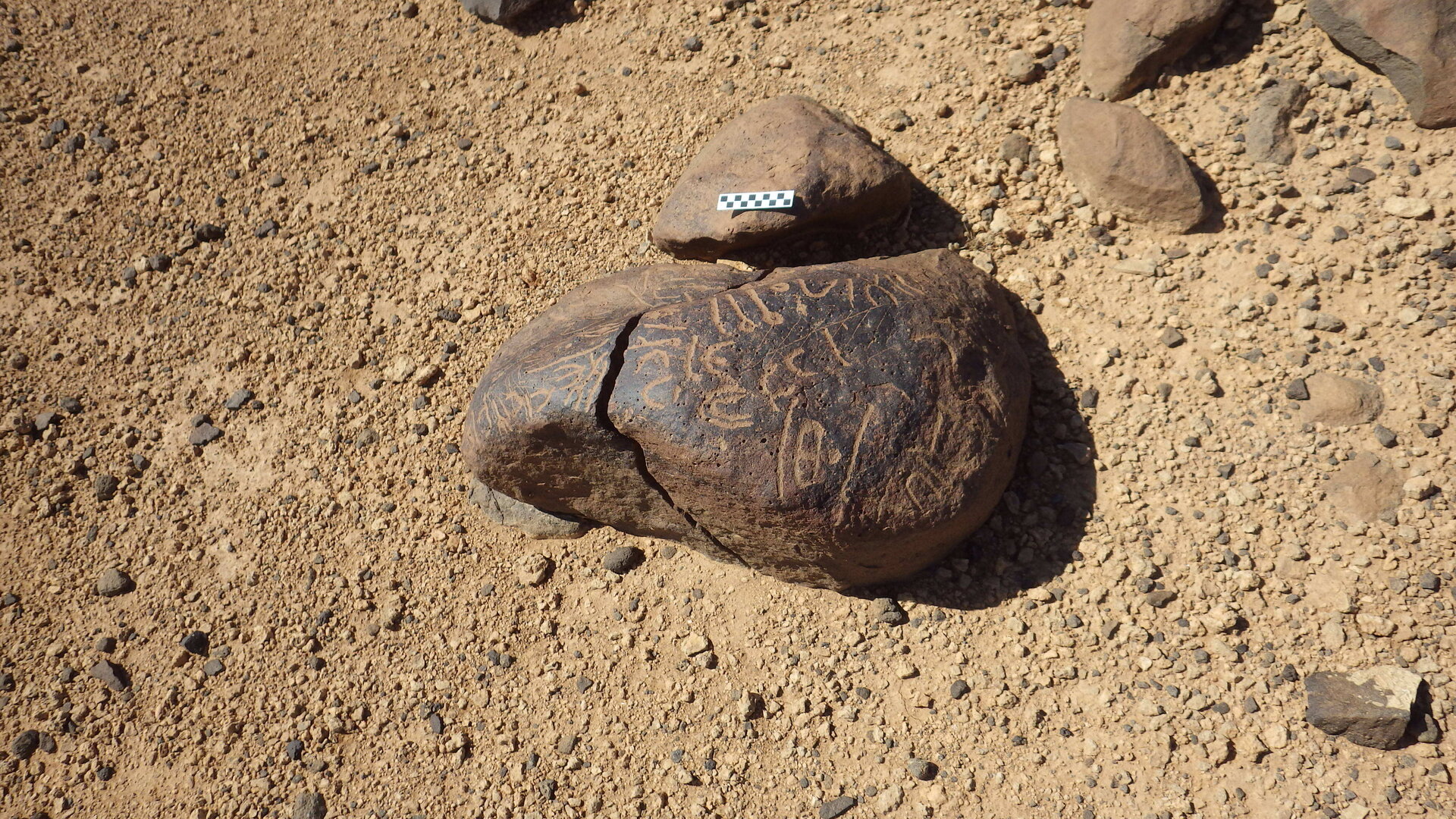 Image of siglum BES20 465