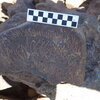 Image of siglum BES20 470