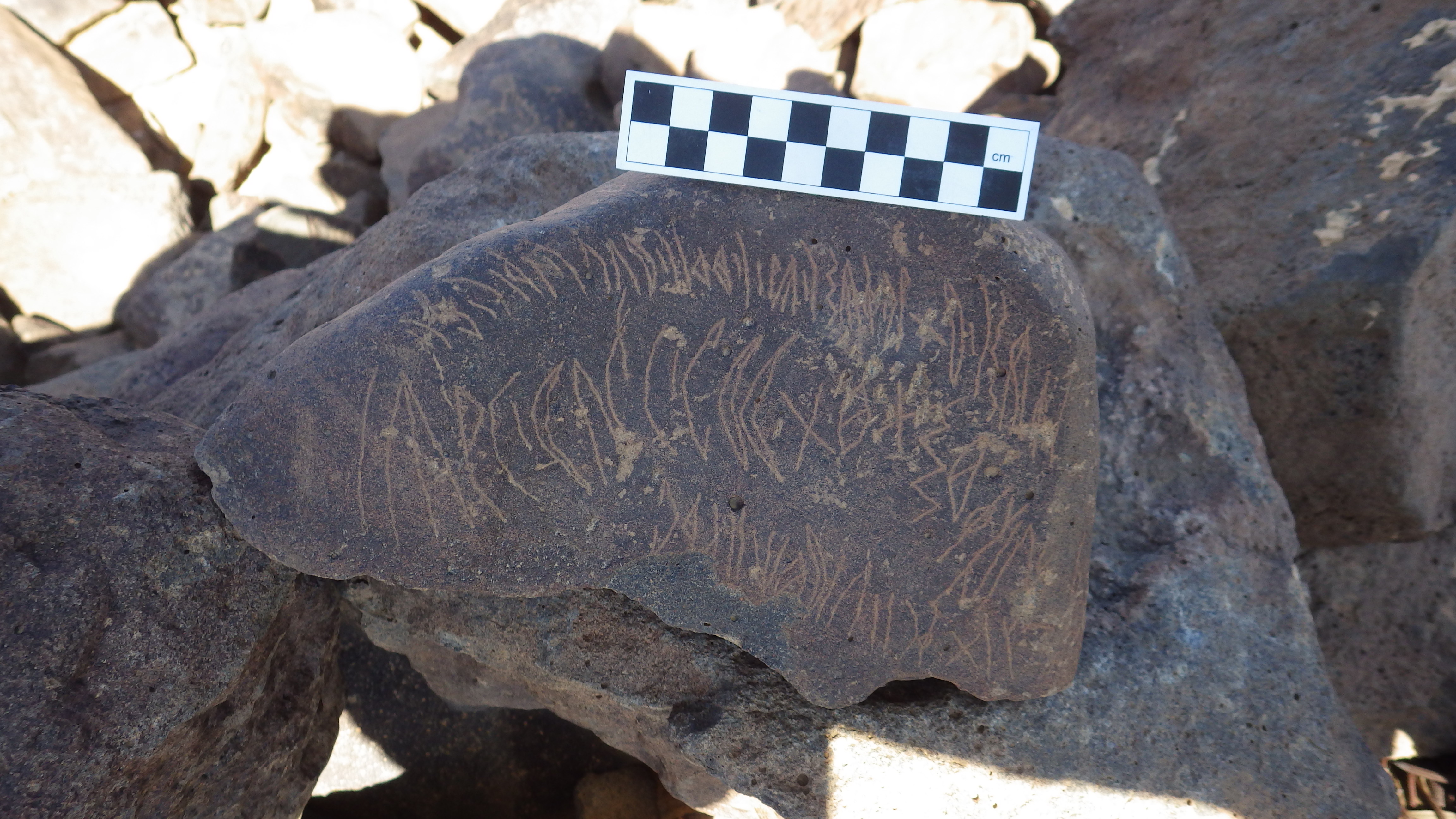 Image of siglum BES20 471