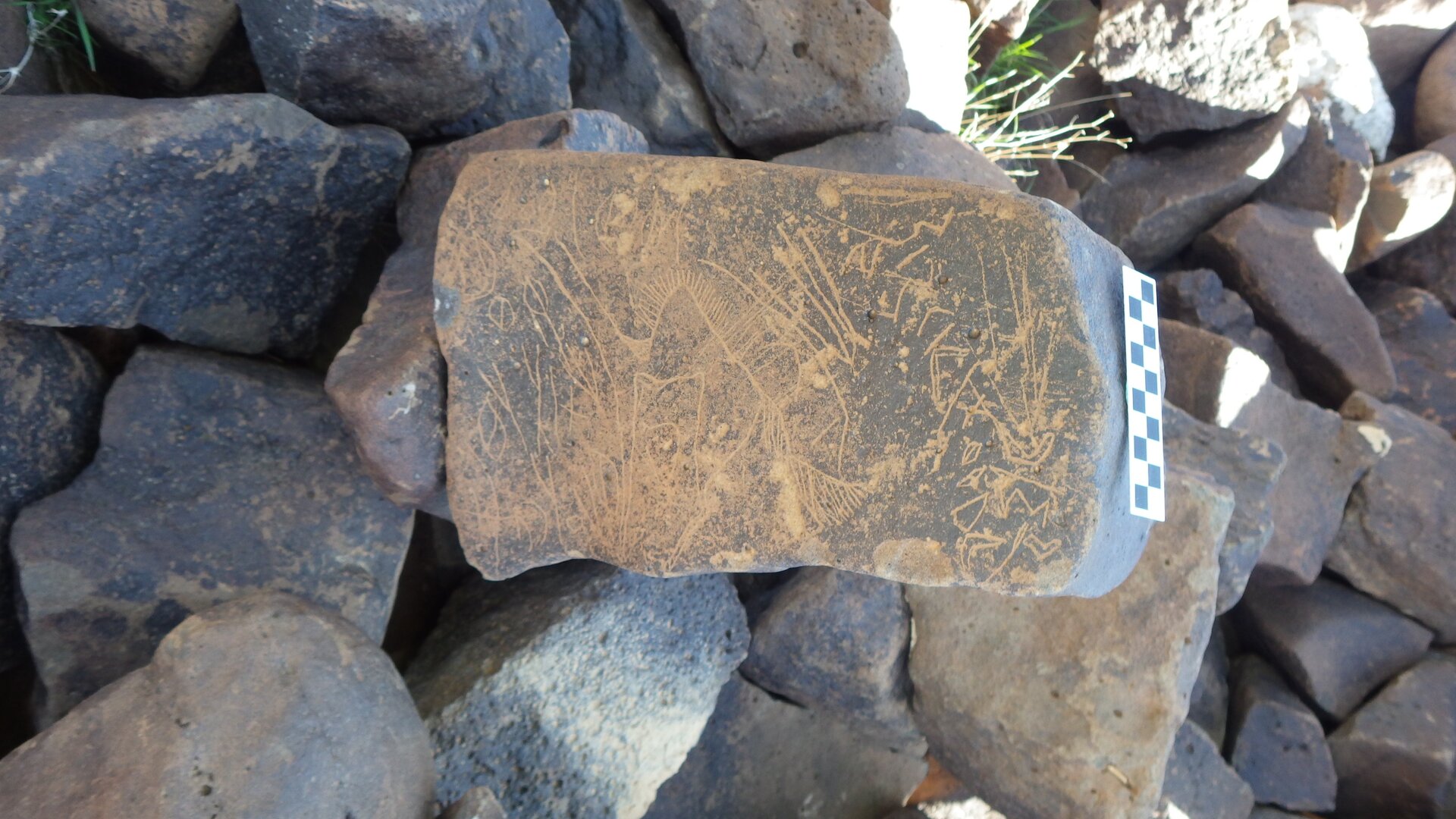 Image of siglum BES20 480