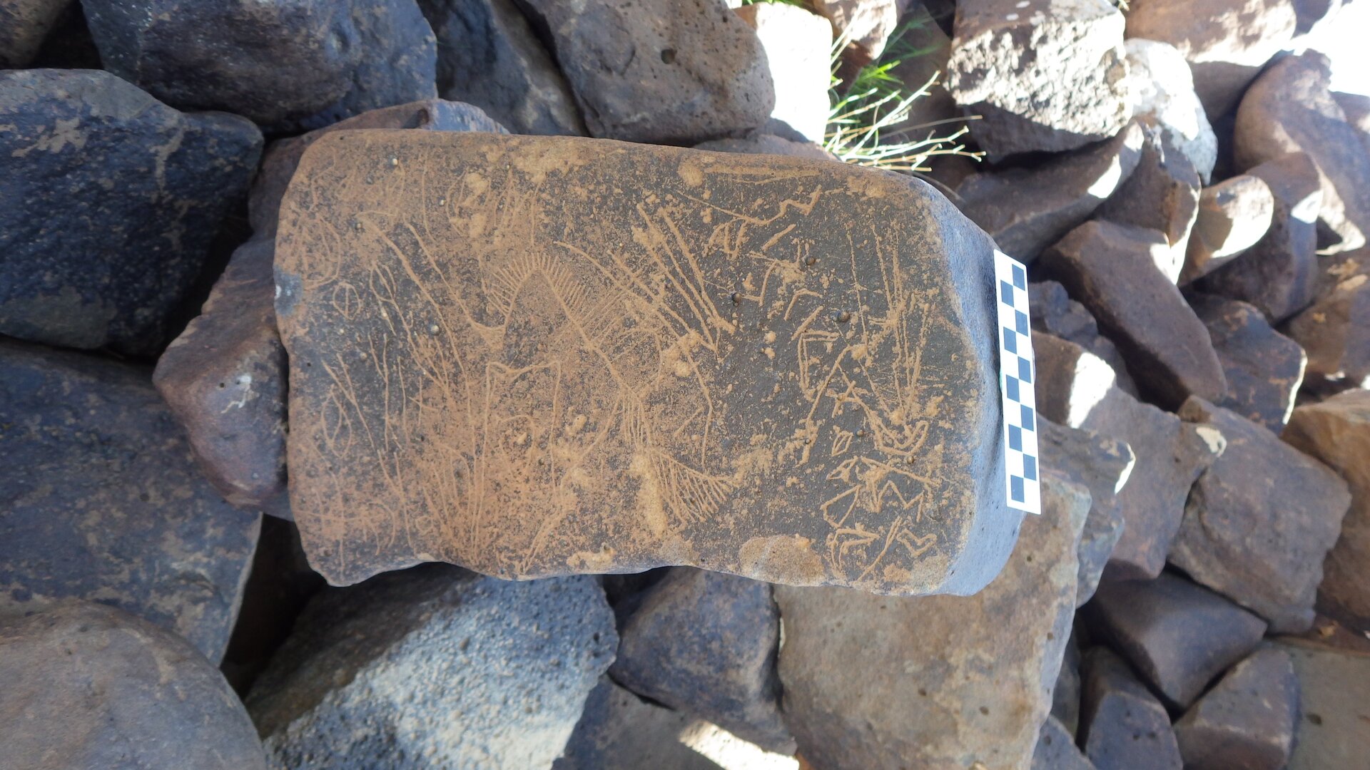 Image of siglum BES20 480