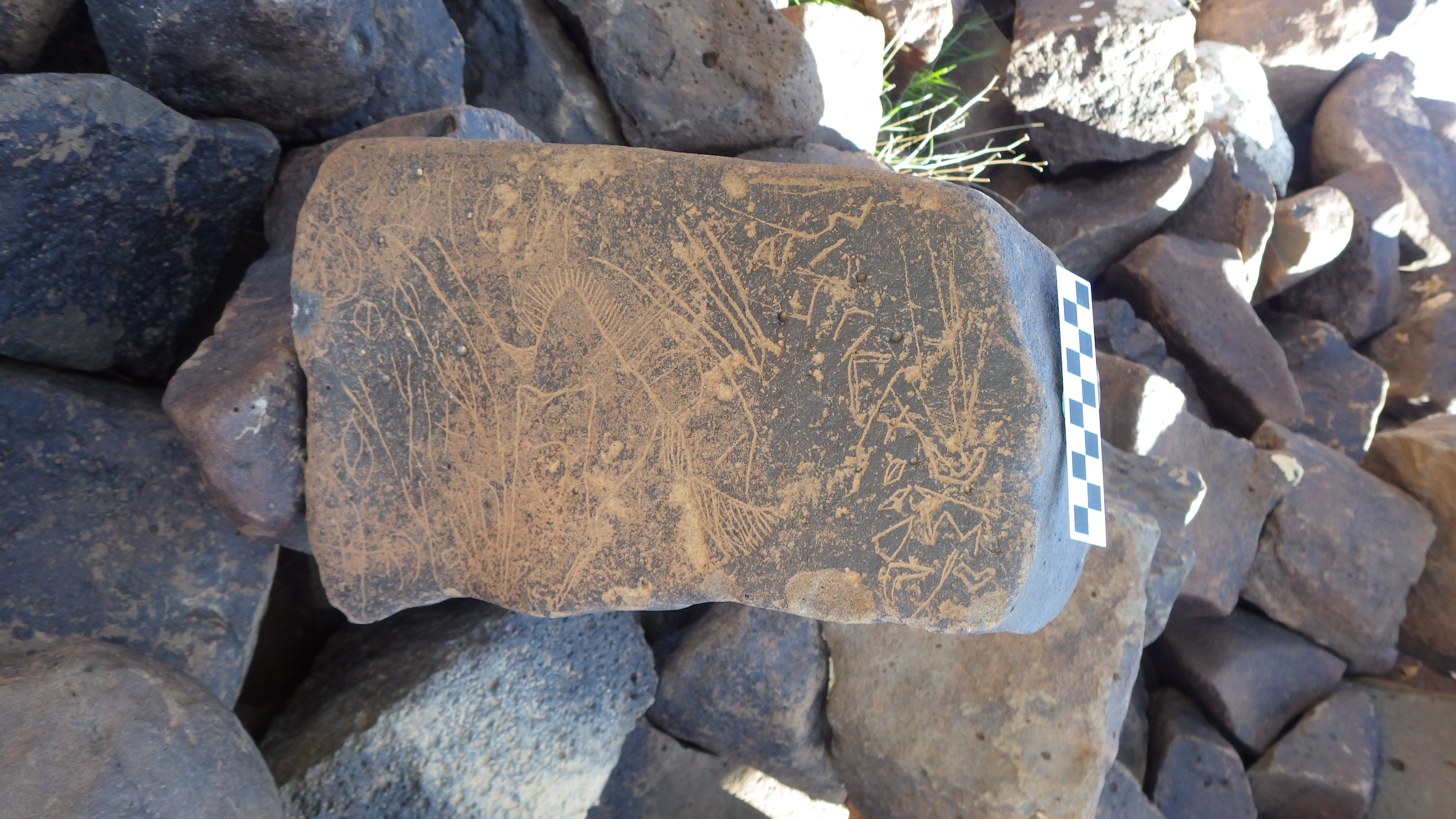 Image of siglum BES20 481