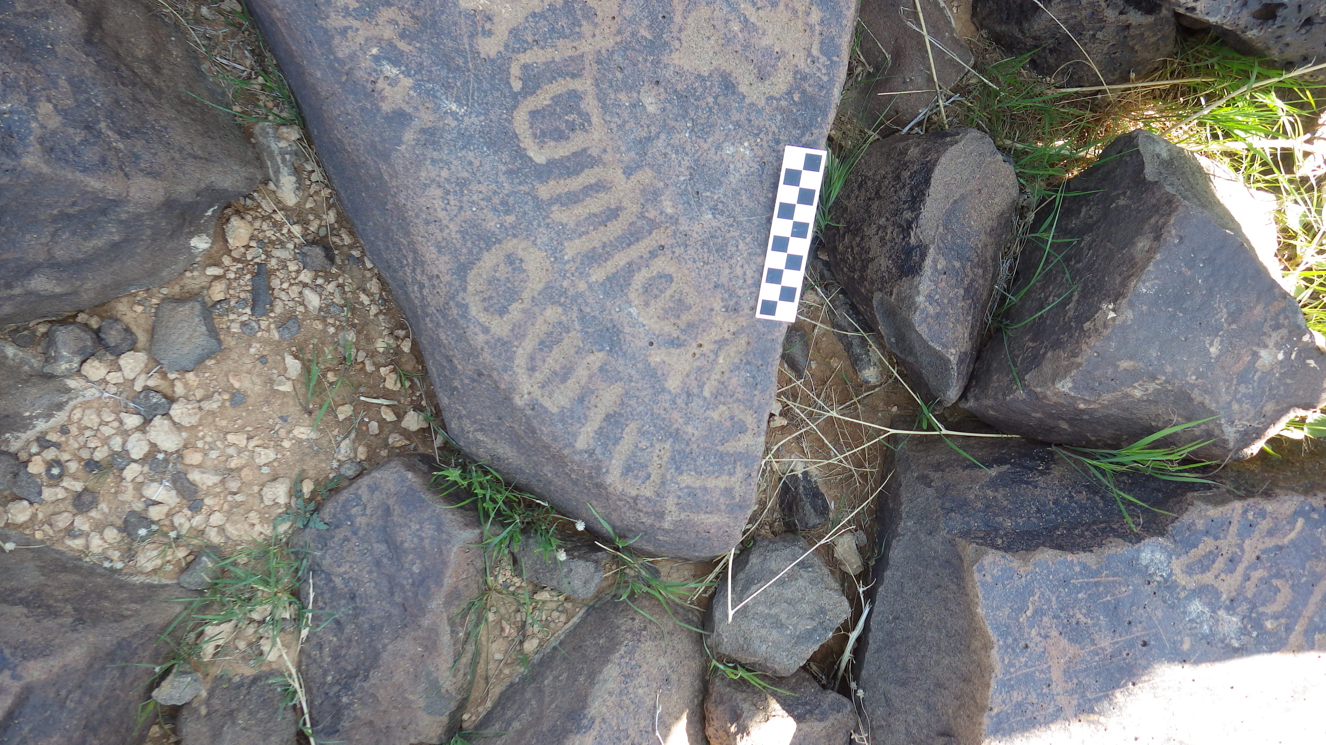 Image of siglum BES20 489