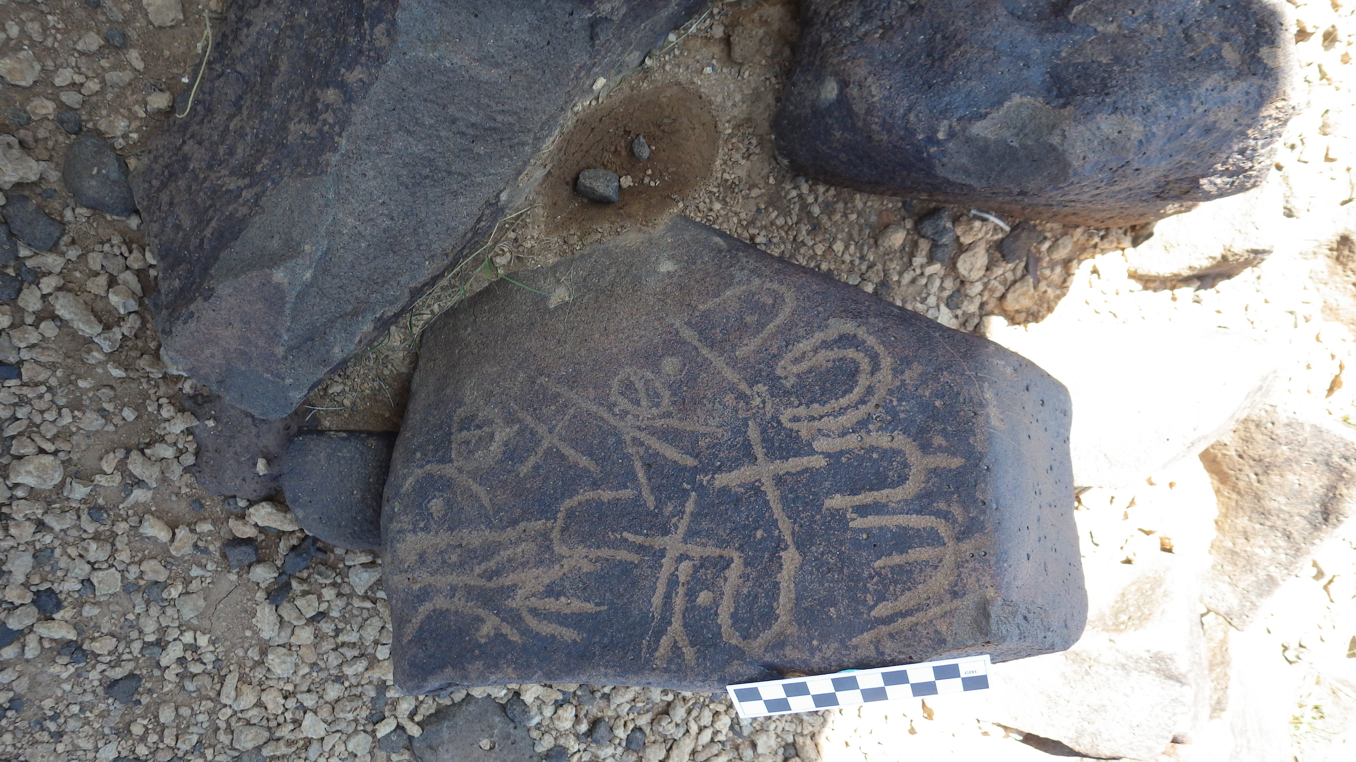 Image of siglum BES20 492