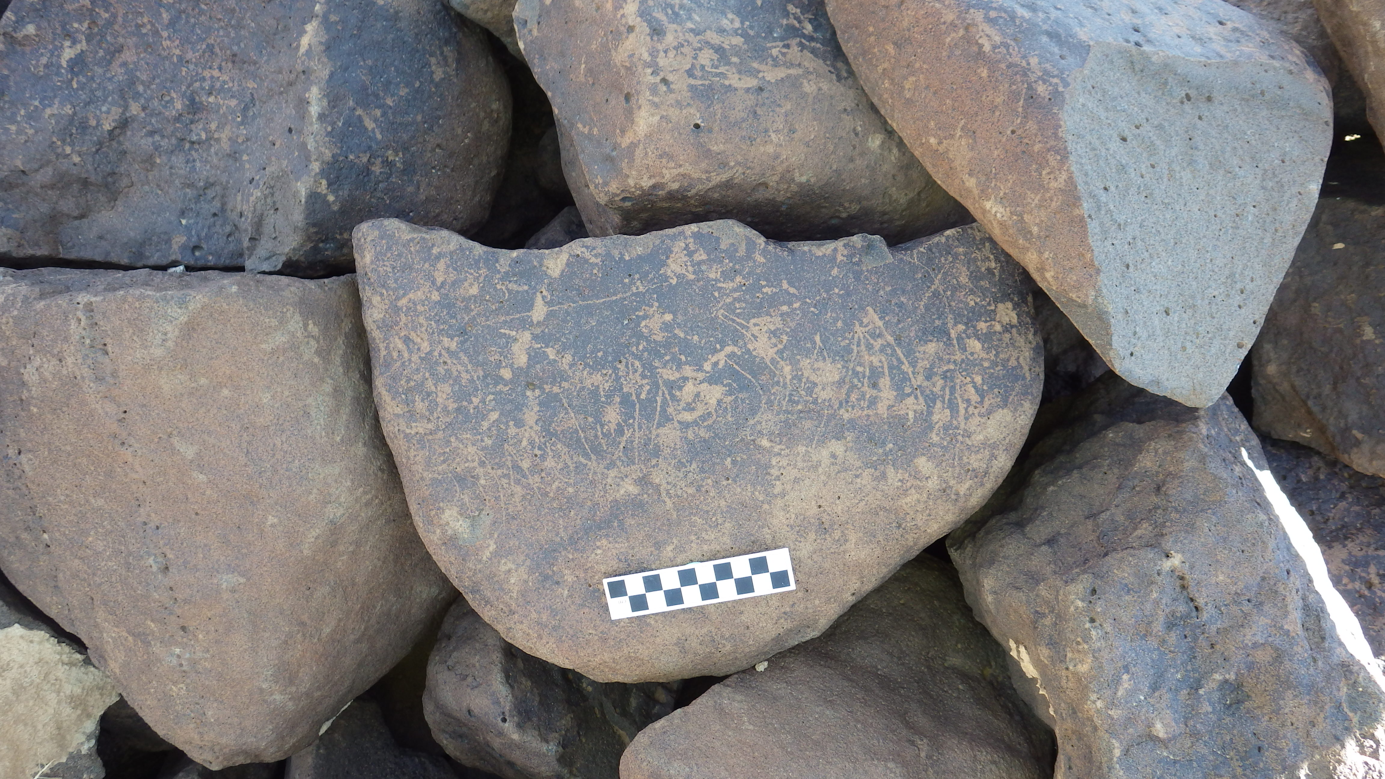 Image of siglum BES20 493