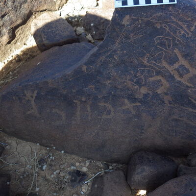 Image of siglum BES20 498