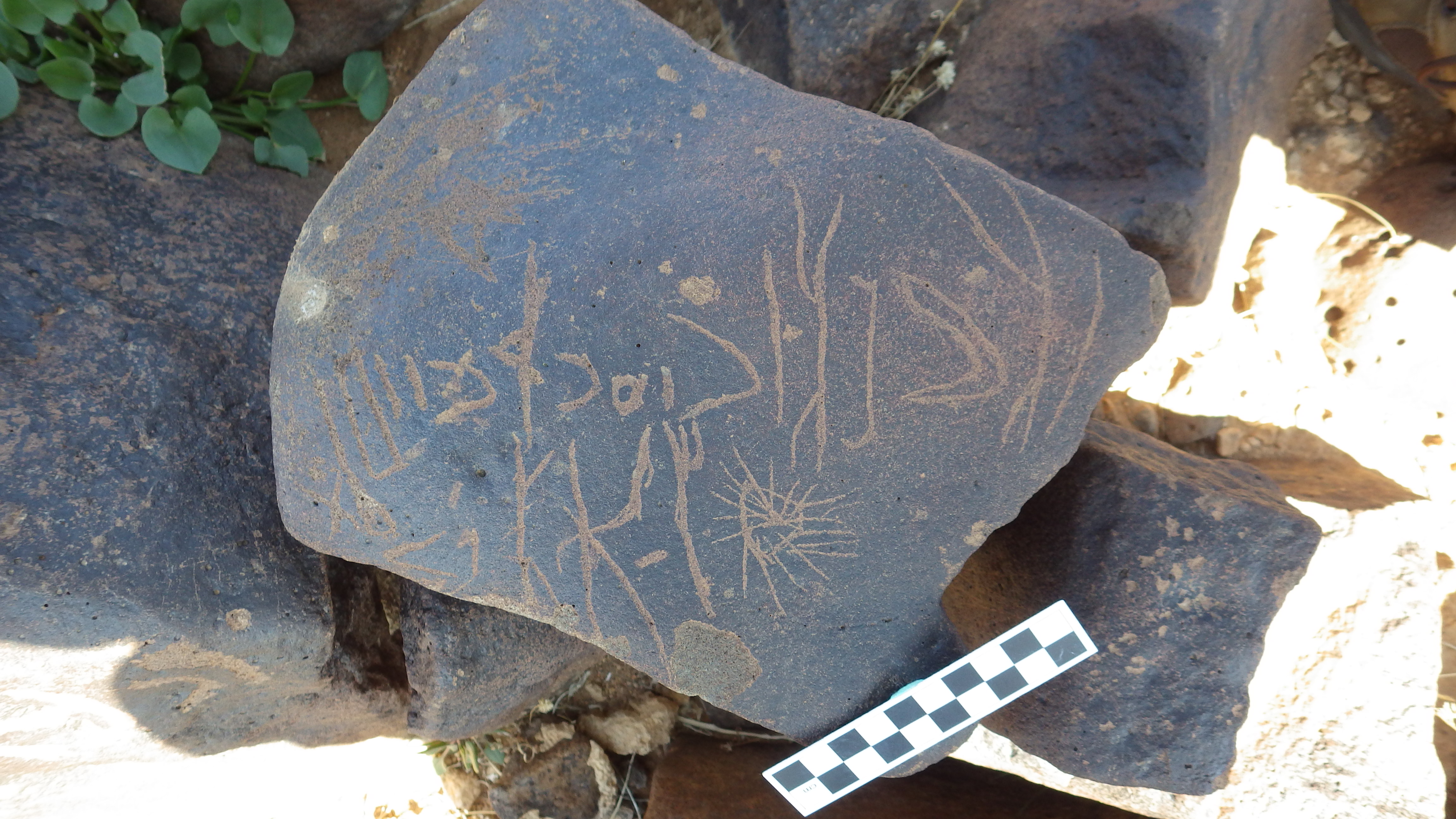 Image of siglum BES20 501