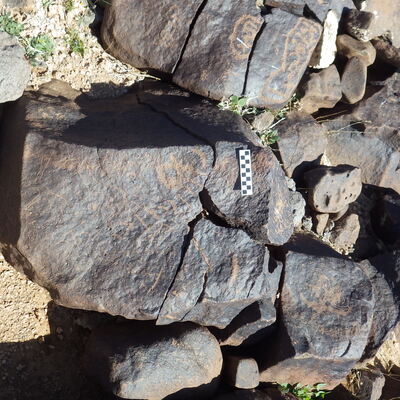 Image of siglum BES20 503