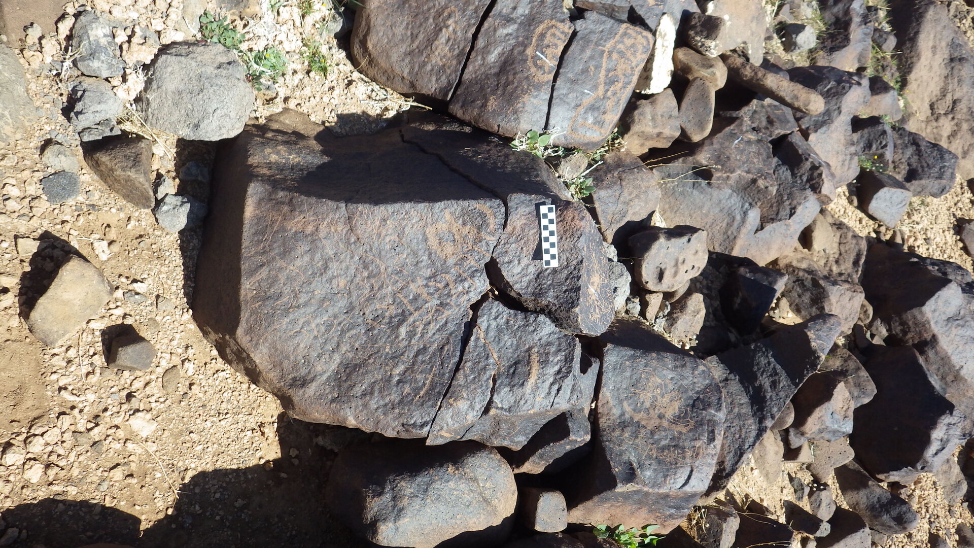 Image of siglum BES20 504