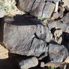 Image of siglum BES20 504