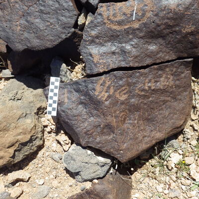 Image of siglum BES20 505